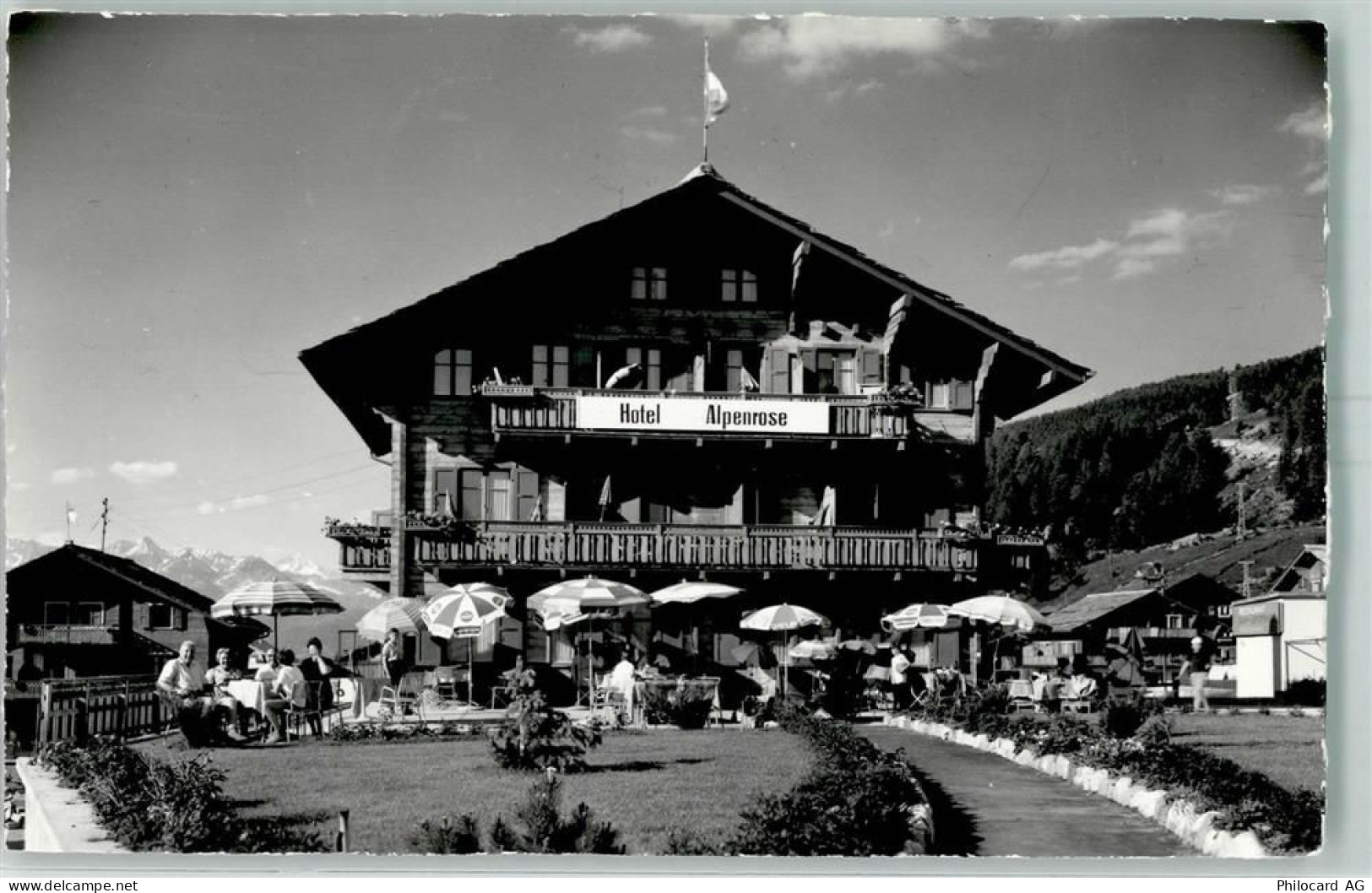 3925 Grächen Foto AK Hotel Alpenrose - 13160714
