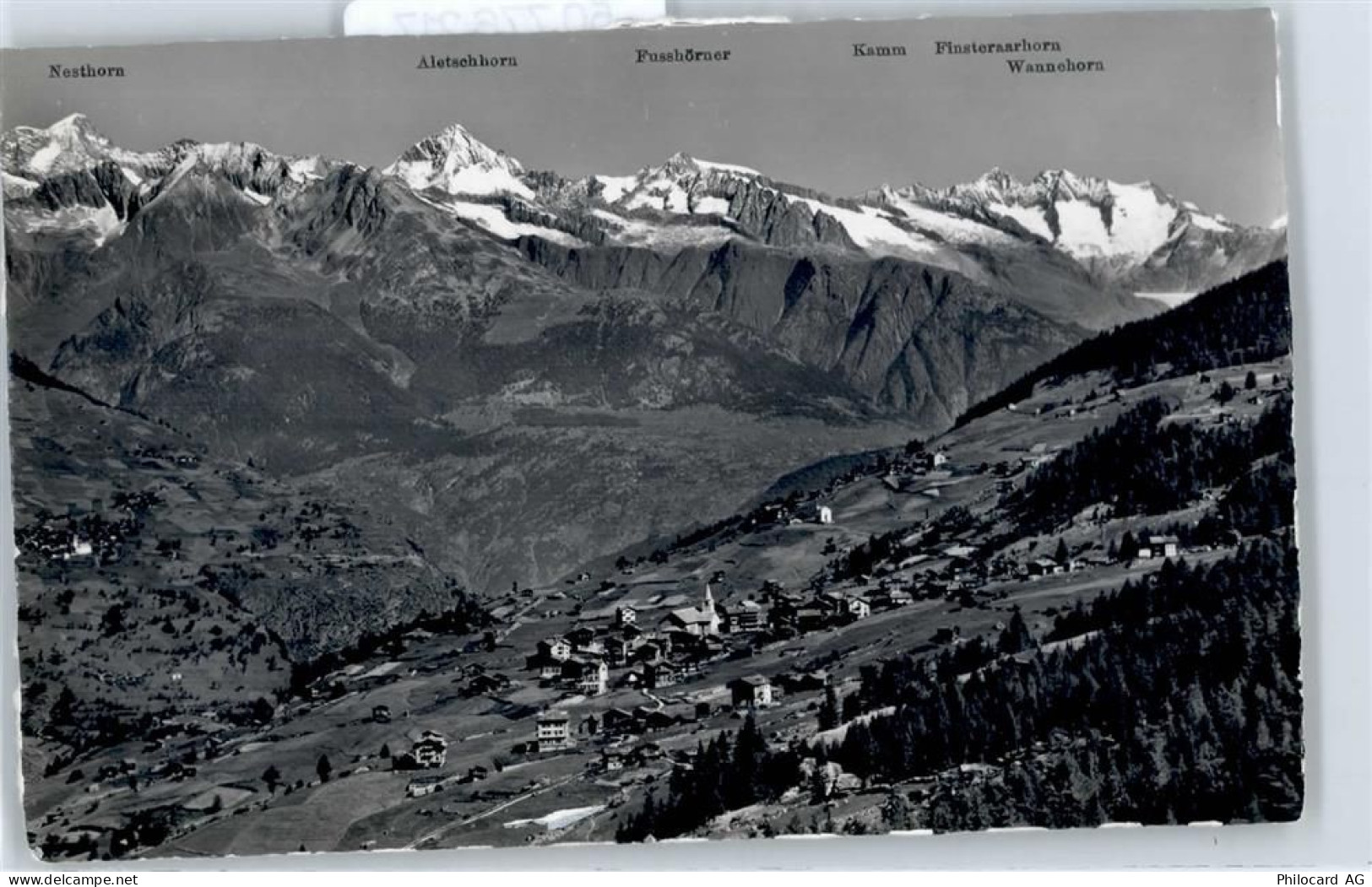 3925 Grächen - Nesthorn, Aletschhorn, Flescherhörner - 50776217