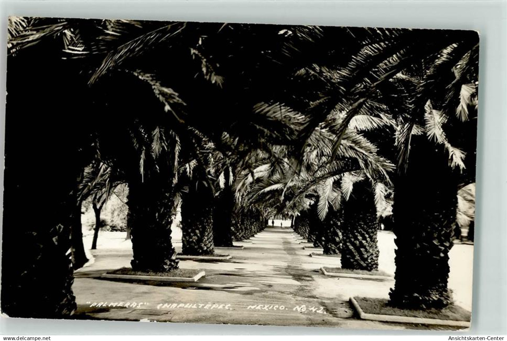 39250225 - Mexiko City