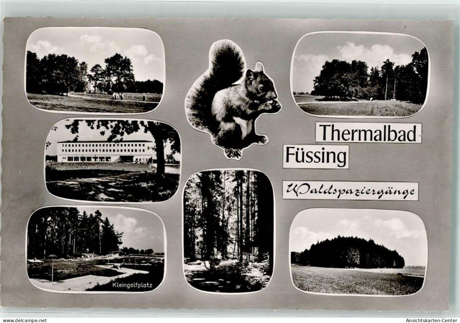 39256758 - Bad Fuessing