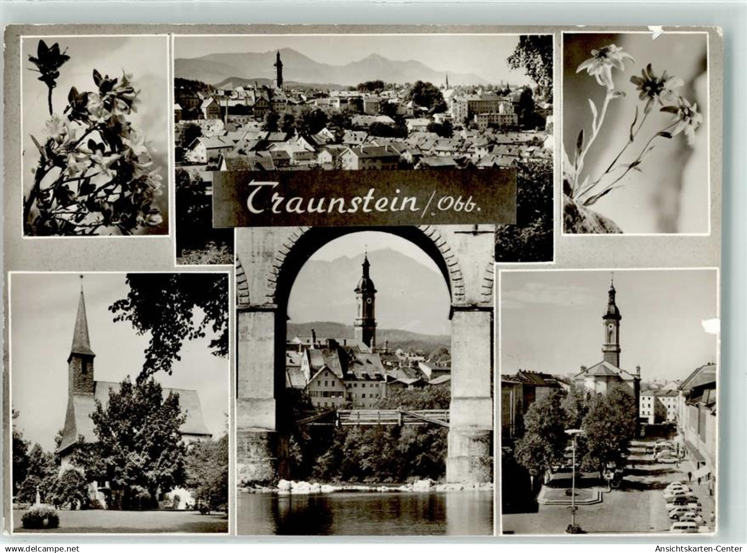 39266882 - Traunstein , Oberbay