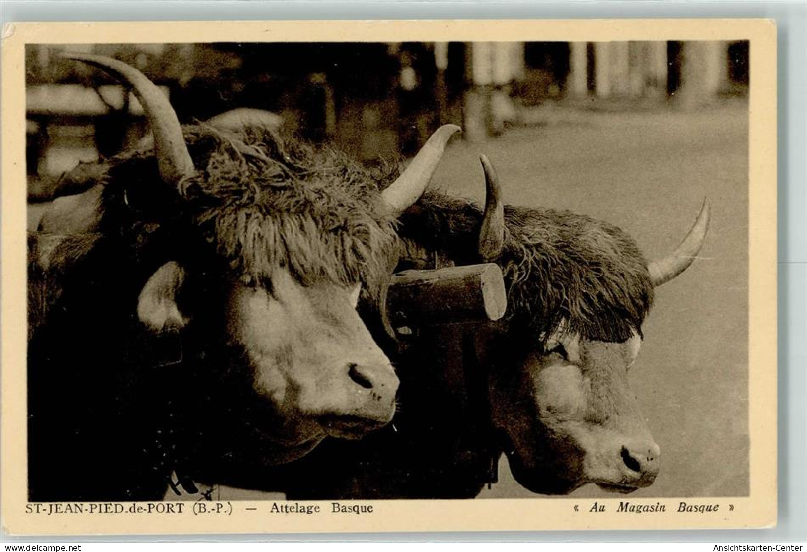 39283903 - Saint-Jean-Pied-de-Port