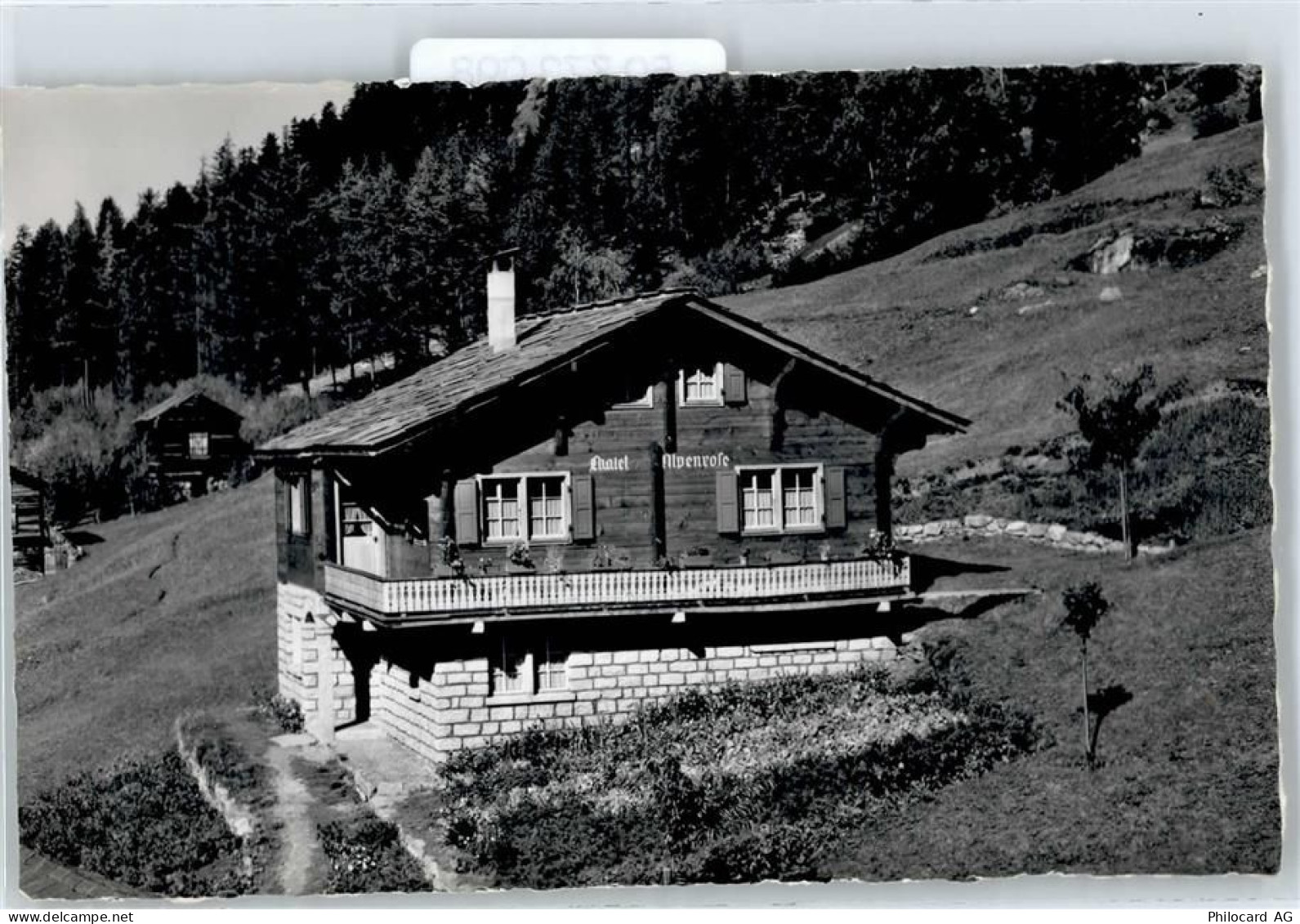 3929 Täsch - Hotel Alpenröse - 50773098