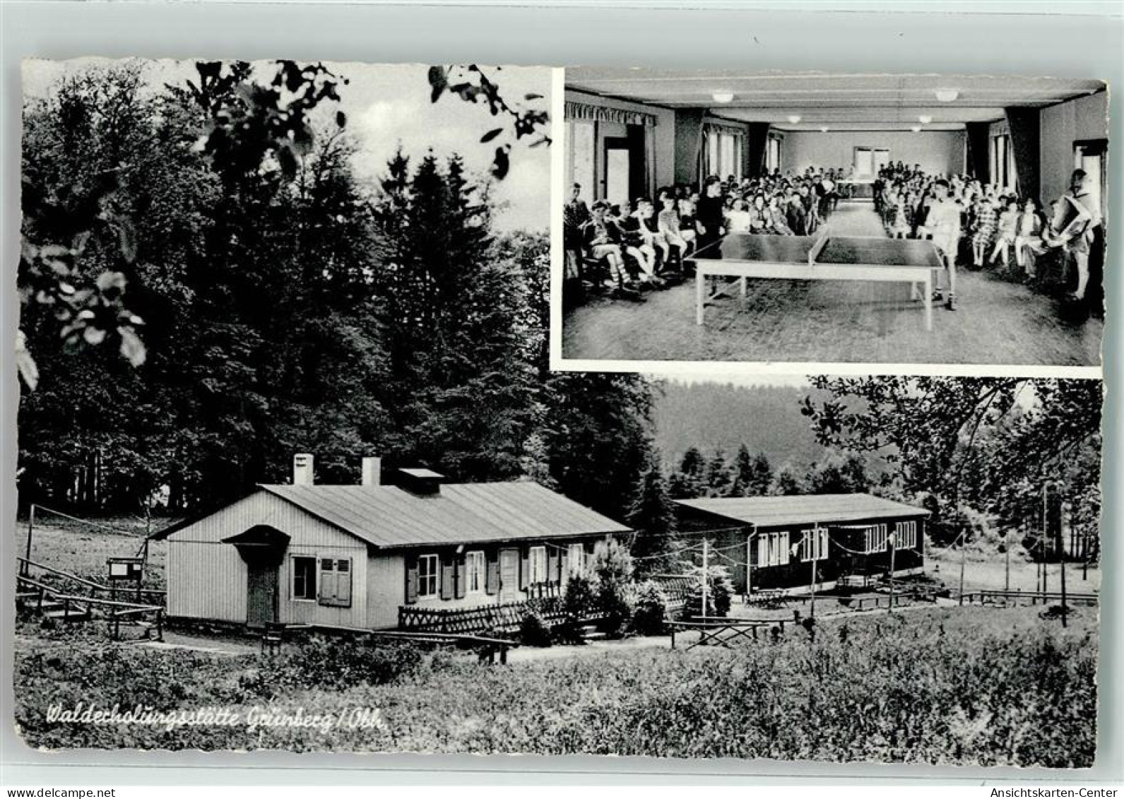 39294058 - Gruenberg , Hess