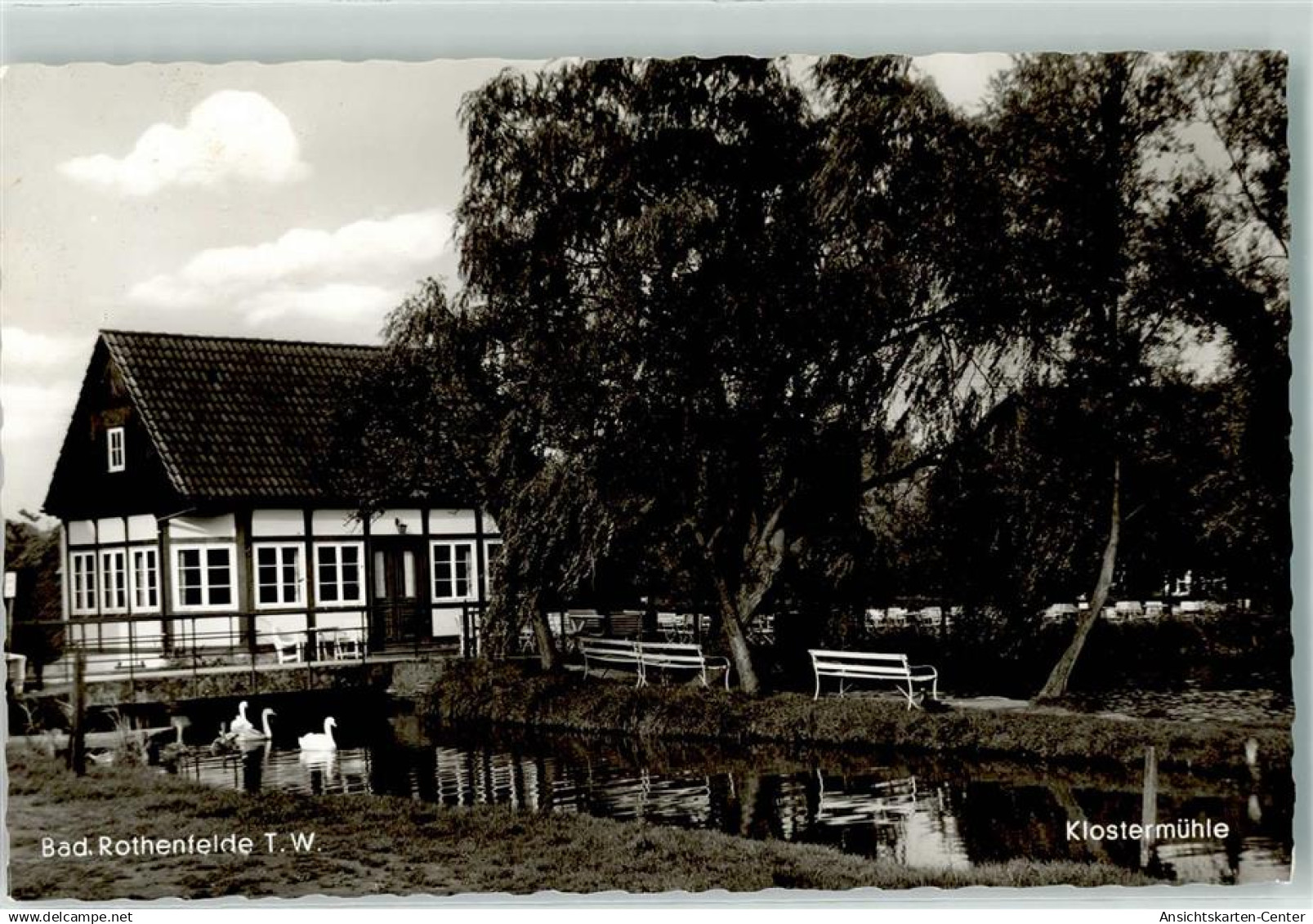 39301345 - Bad Rothenfelde