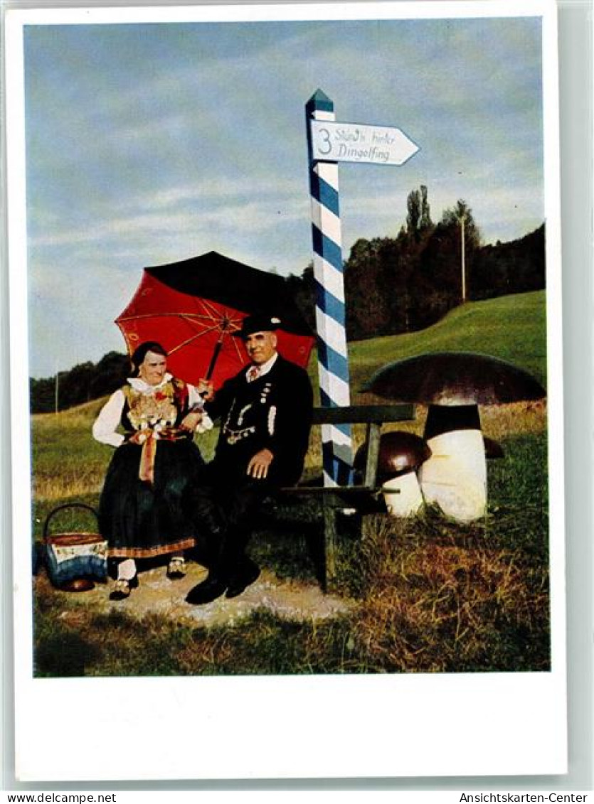 39311899 - Dingolfing