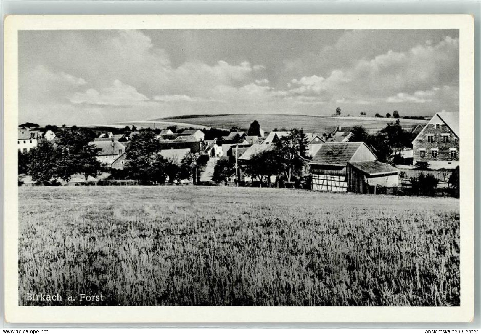 39312848 - Birkach a Forst