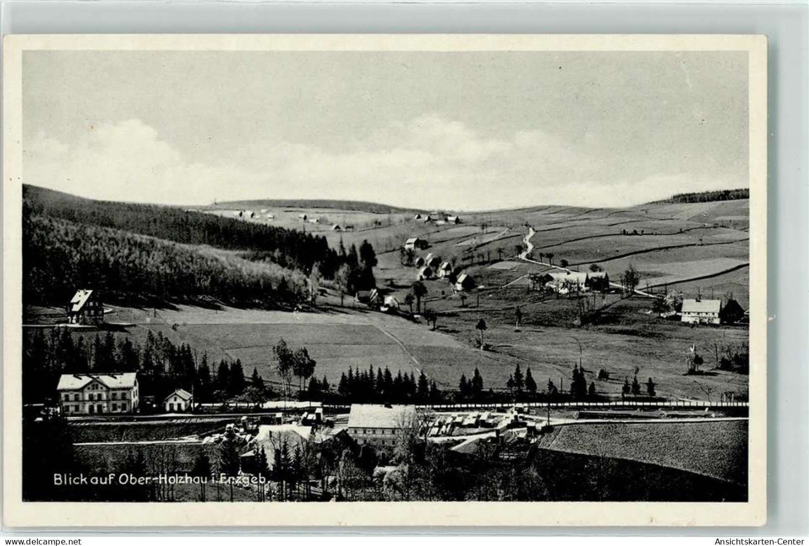 39318779 - Holzhau