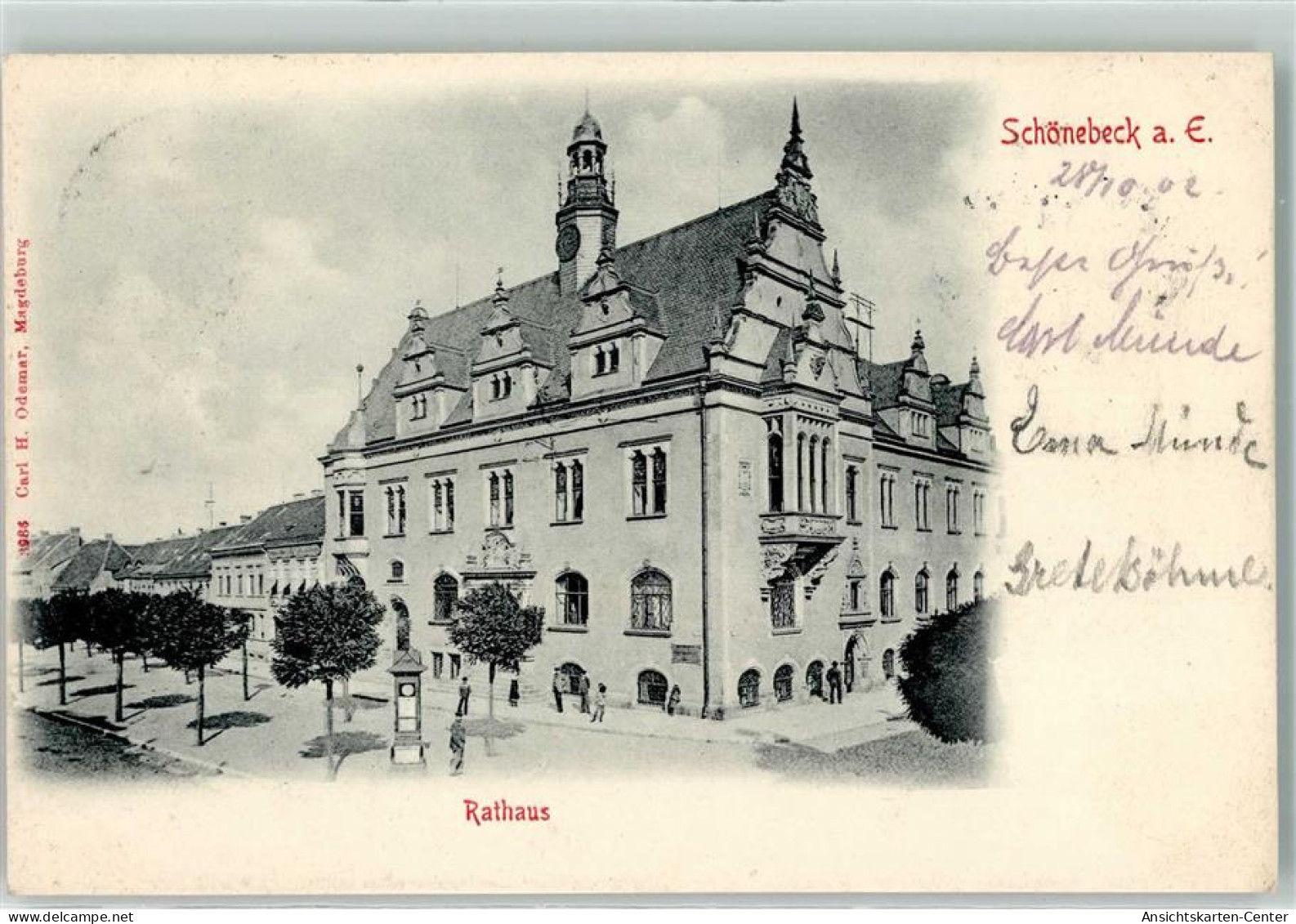 39333029 - Schoenebeck Elbe