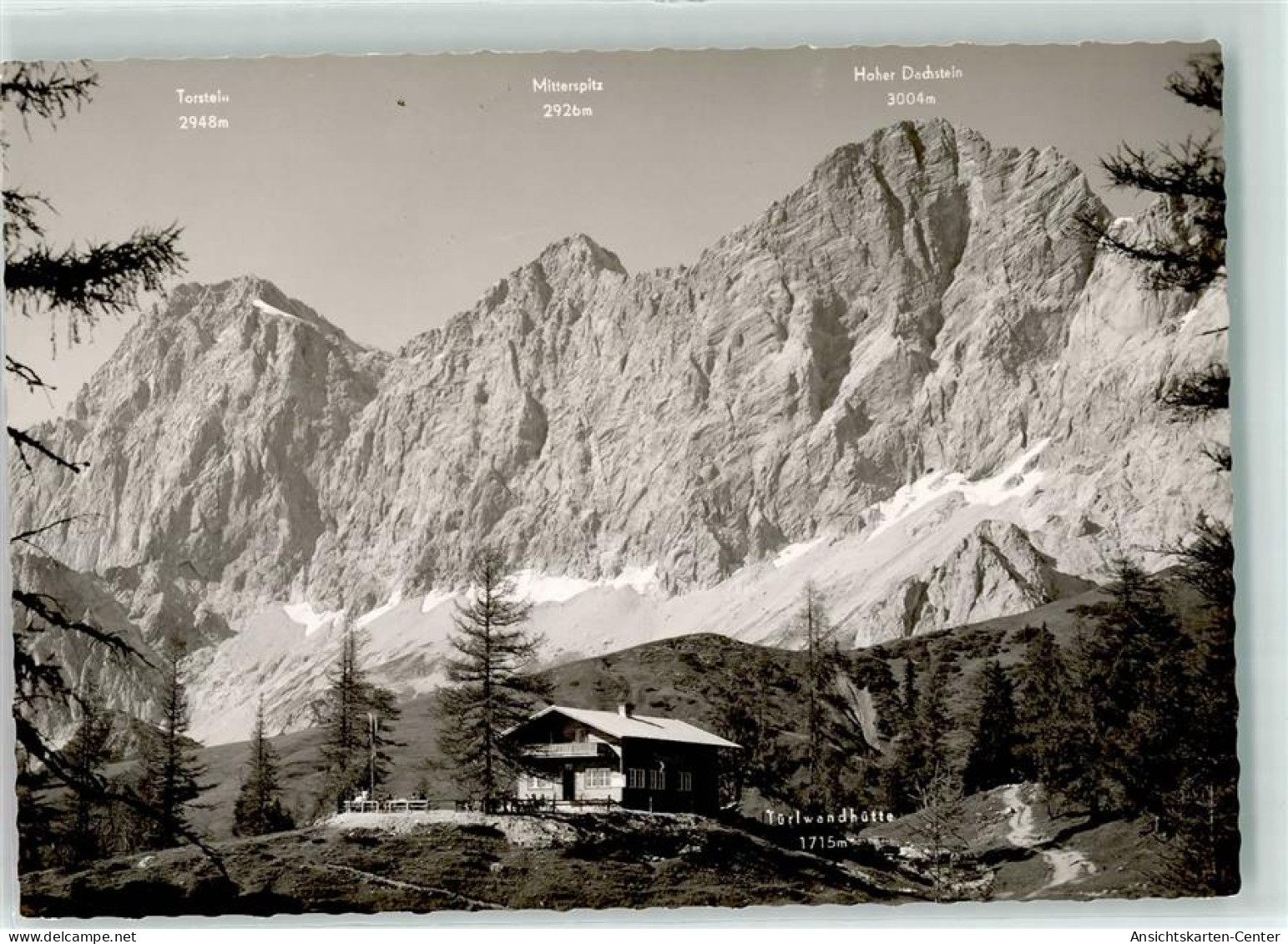 39339334 - Ramsau am Dachstein