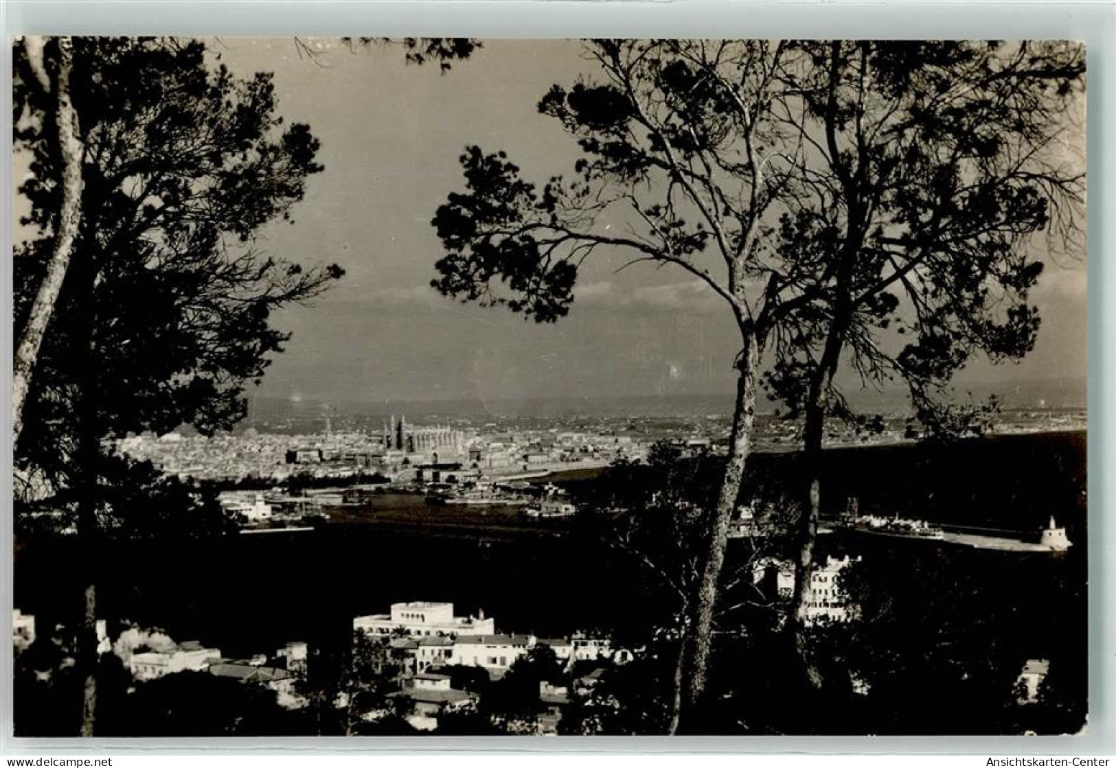 39341286 - Palma Mallorca