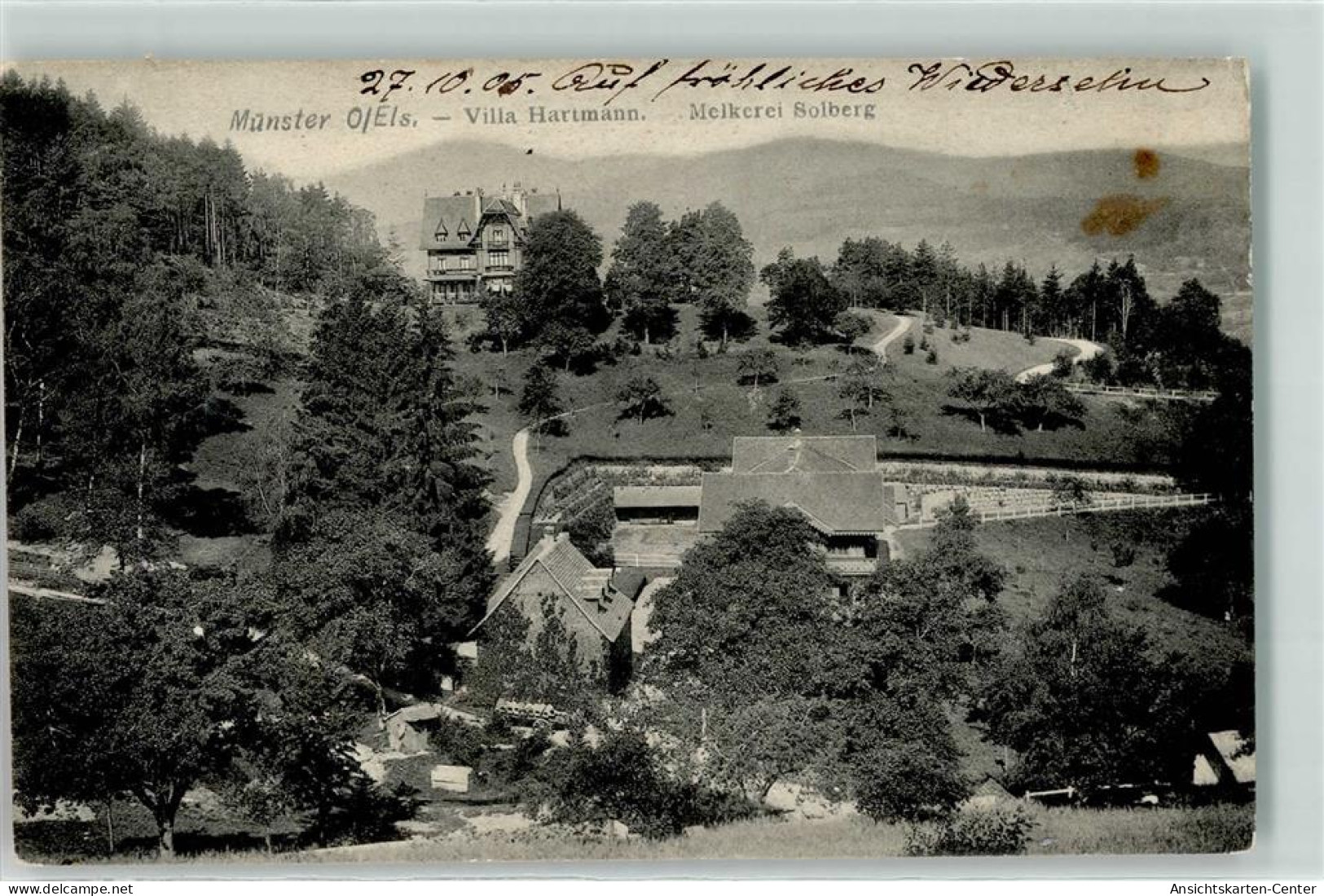 39344456 - Munster Muenster