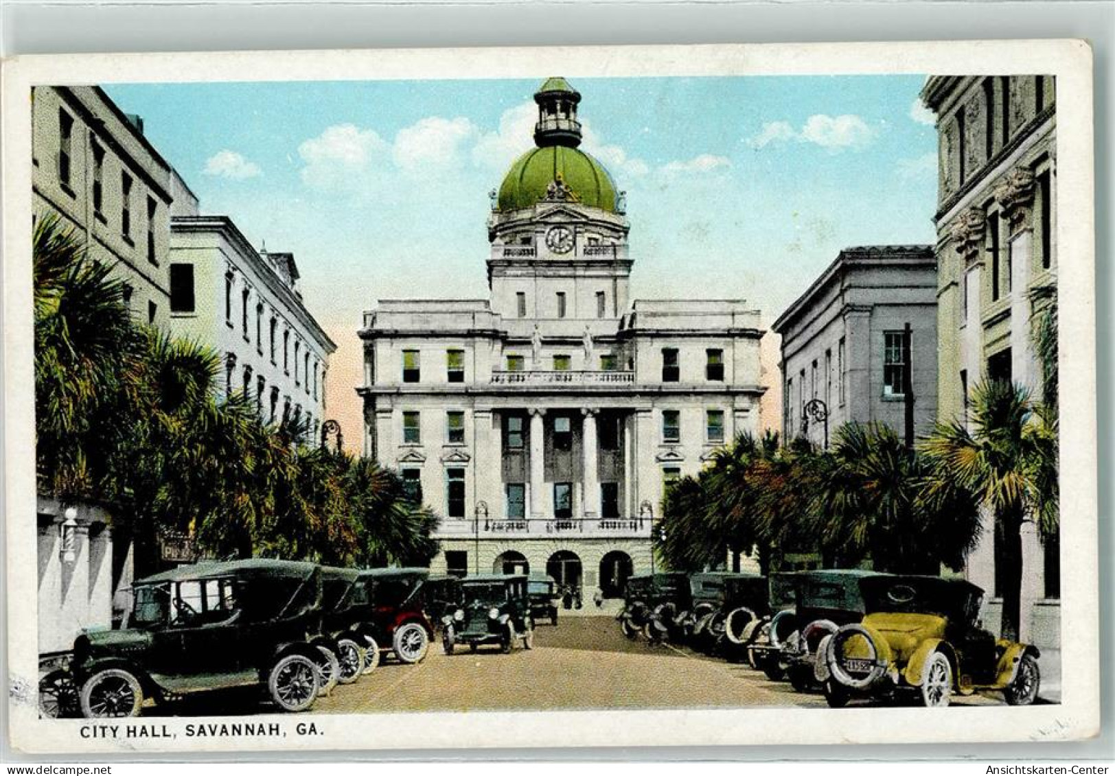 39350875 - Savannah