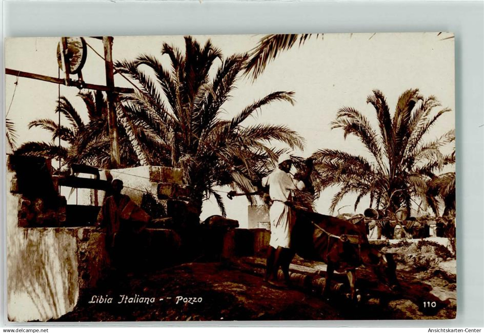39351584 - Pozzo Brunnen Vieh Palmen Volkstyp Libia Italiana Kolonie