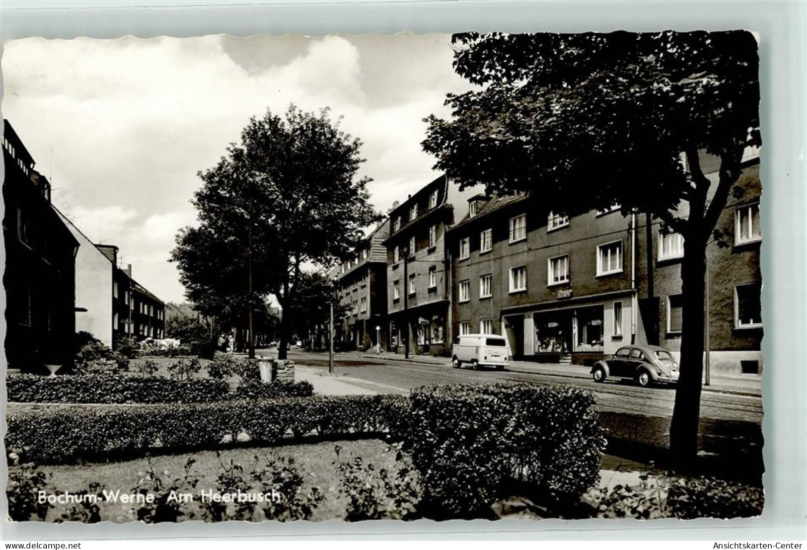 39356413 - Werne