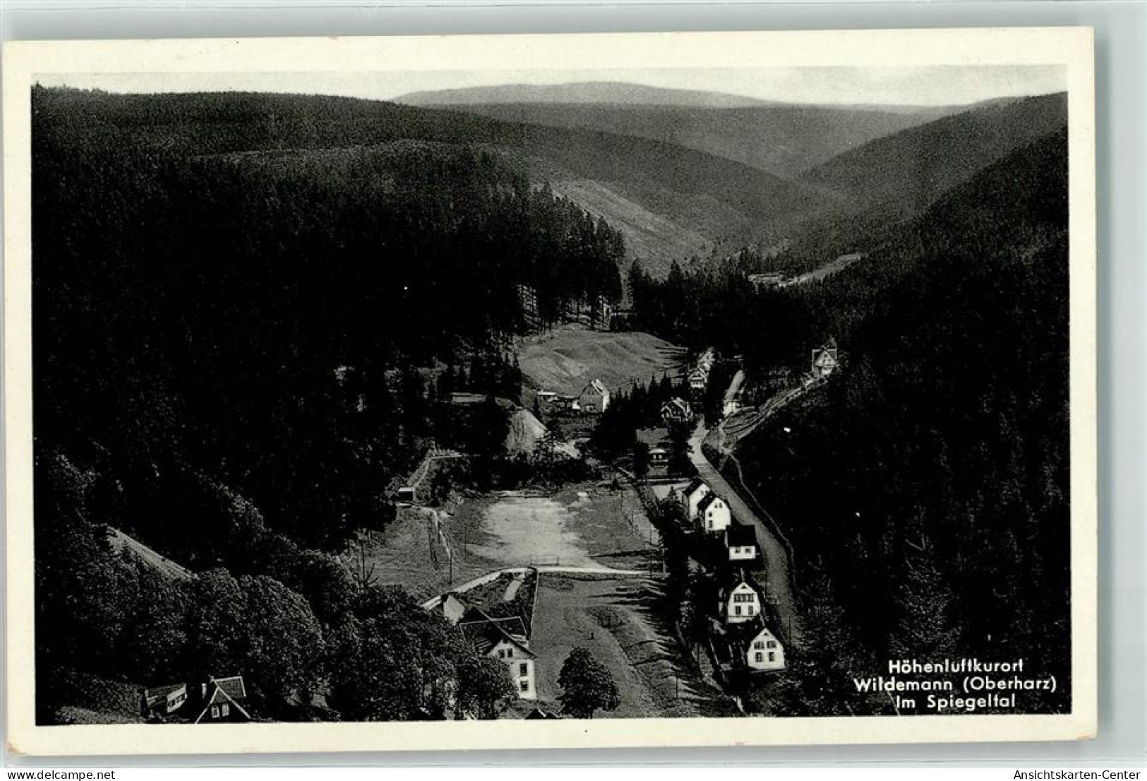 39356767 - Wildemann