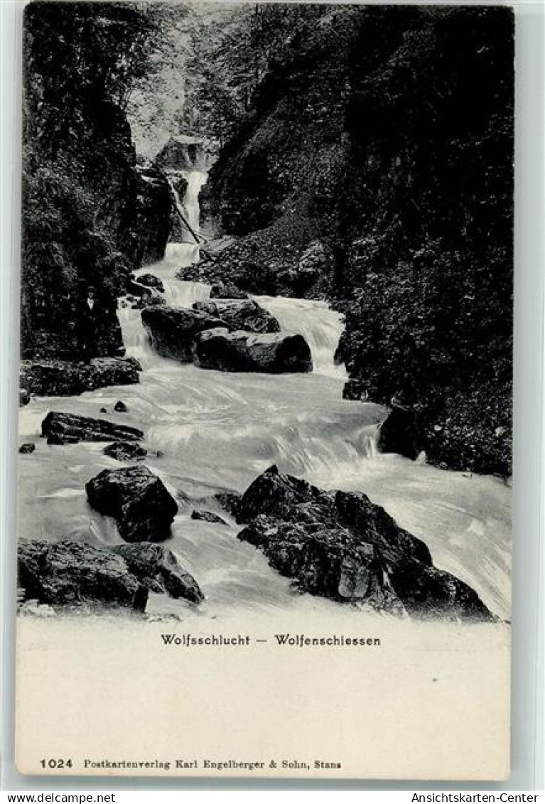 39371485 - Wolfenschiessen