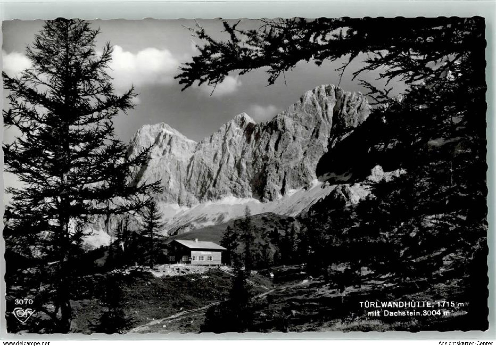 39379434 - Ramsau am Dachstein