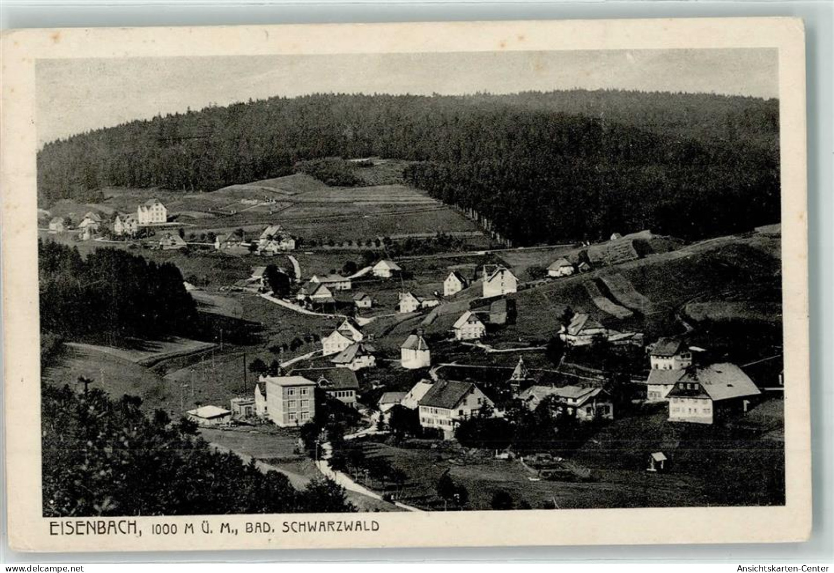 39387388 - Eisenbach Hochschwarzwald