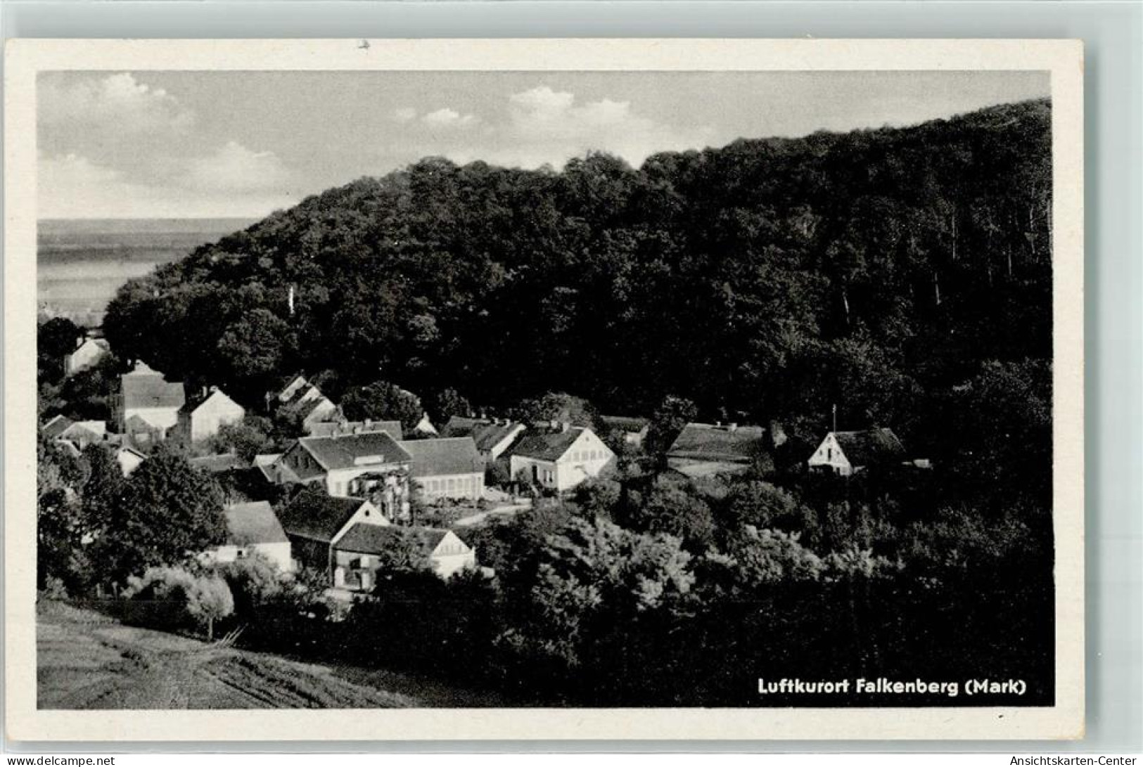 39390426 - Falkenberg , Mark