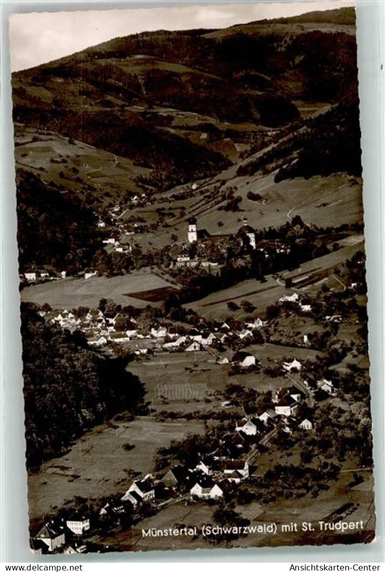 39390830 - Muenstertal , Schwarzwald