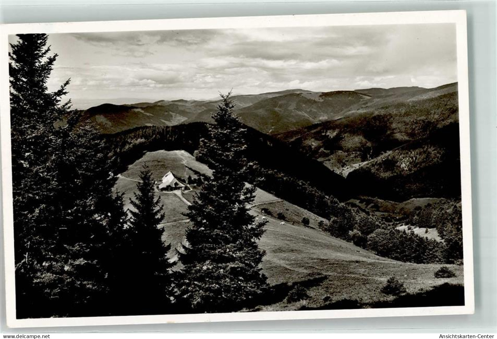 39391128 - Muenstertal , Schwarzwald