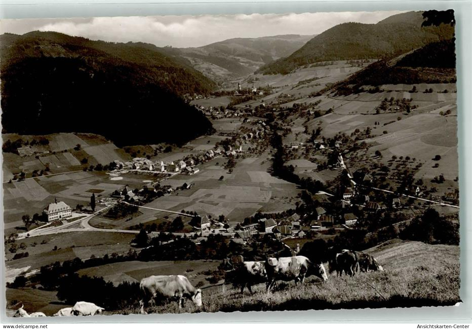 39391131 - Muenstertal , Schwarzwald