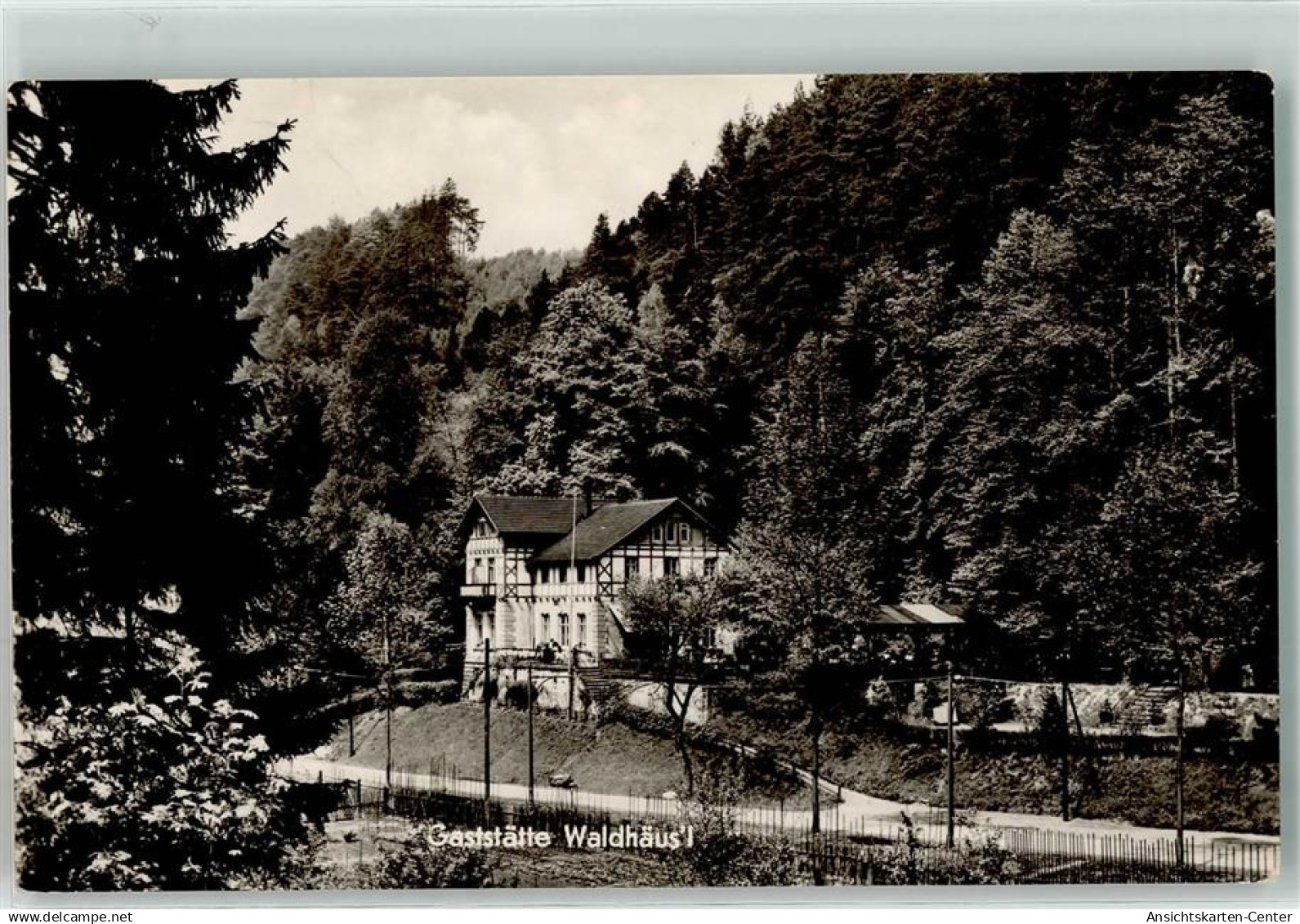 39391545 - Kirnitzschtal b Sebnitz