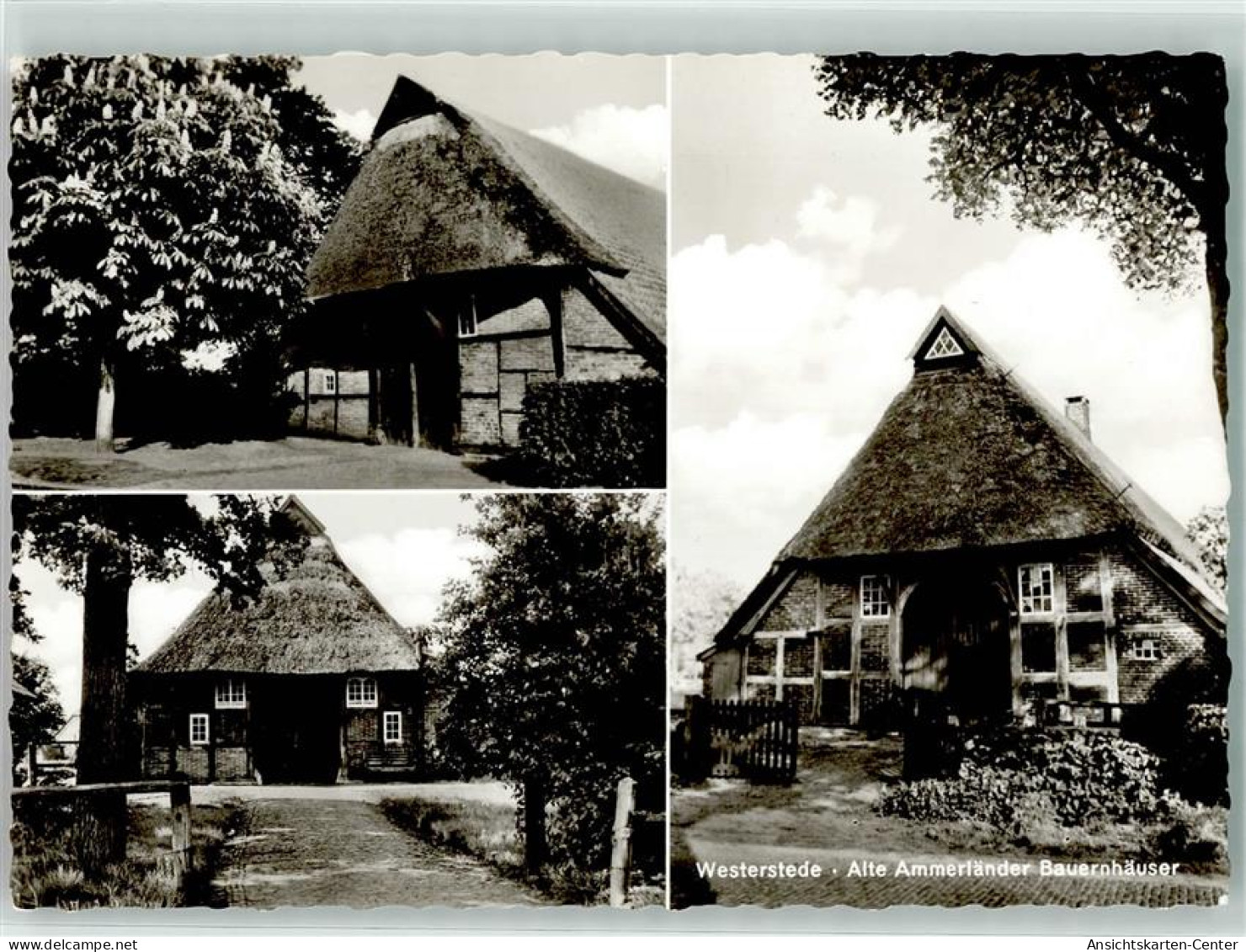 39393790 - Westerstede