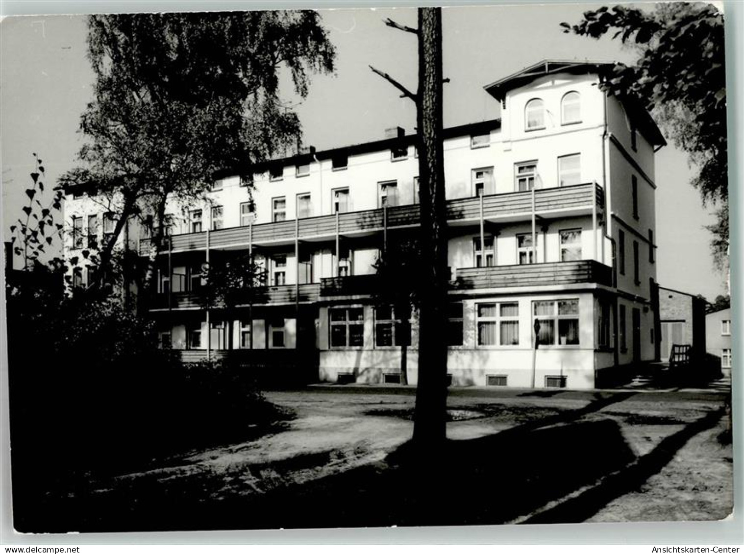 39393915 - Tharandt