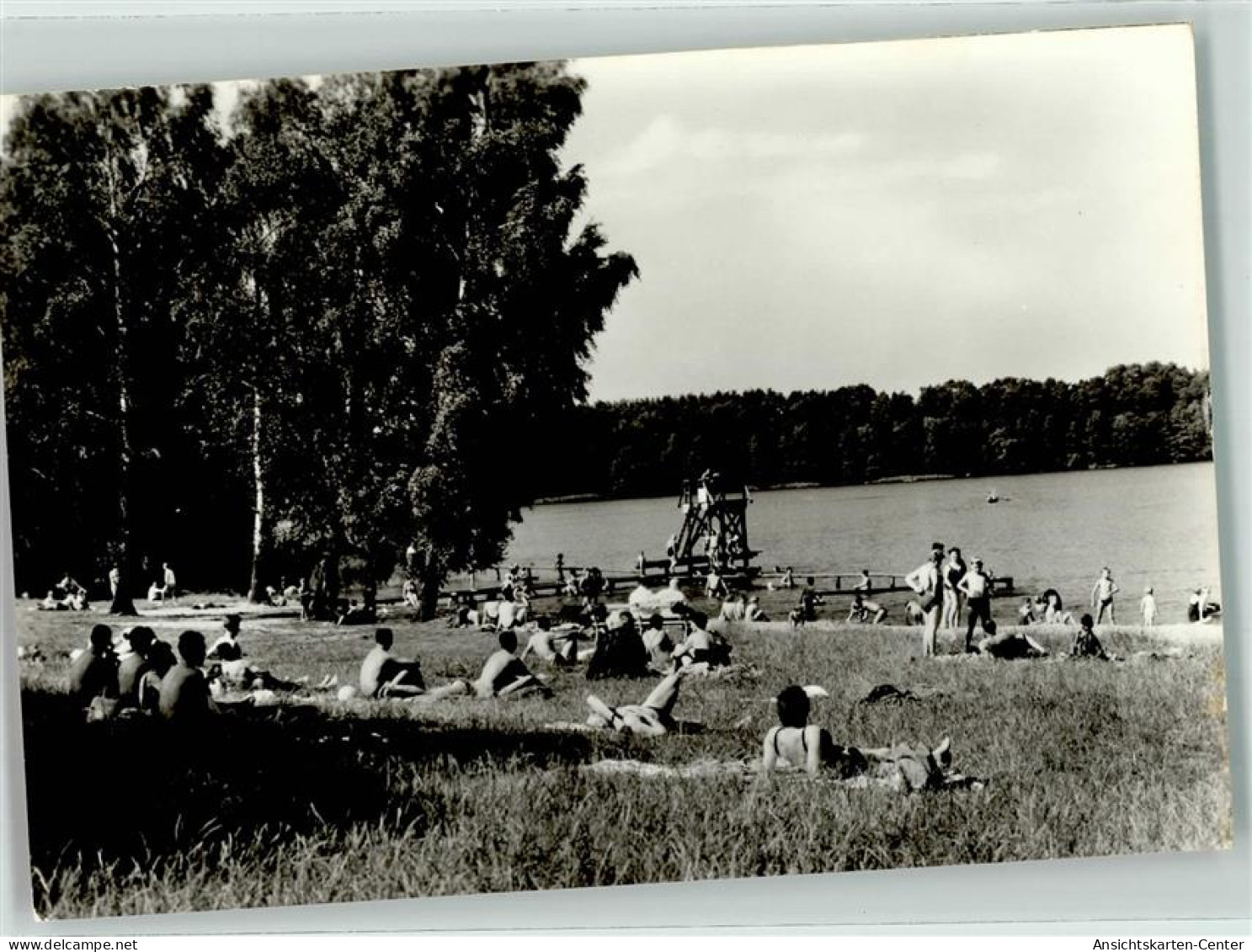 39394486 - Dorf Zechlin