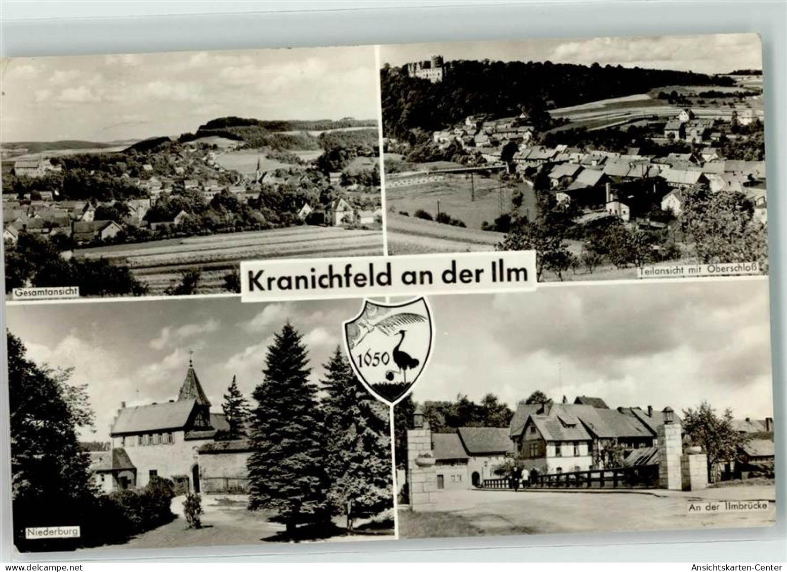 39394603 - Kranichfeld