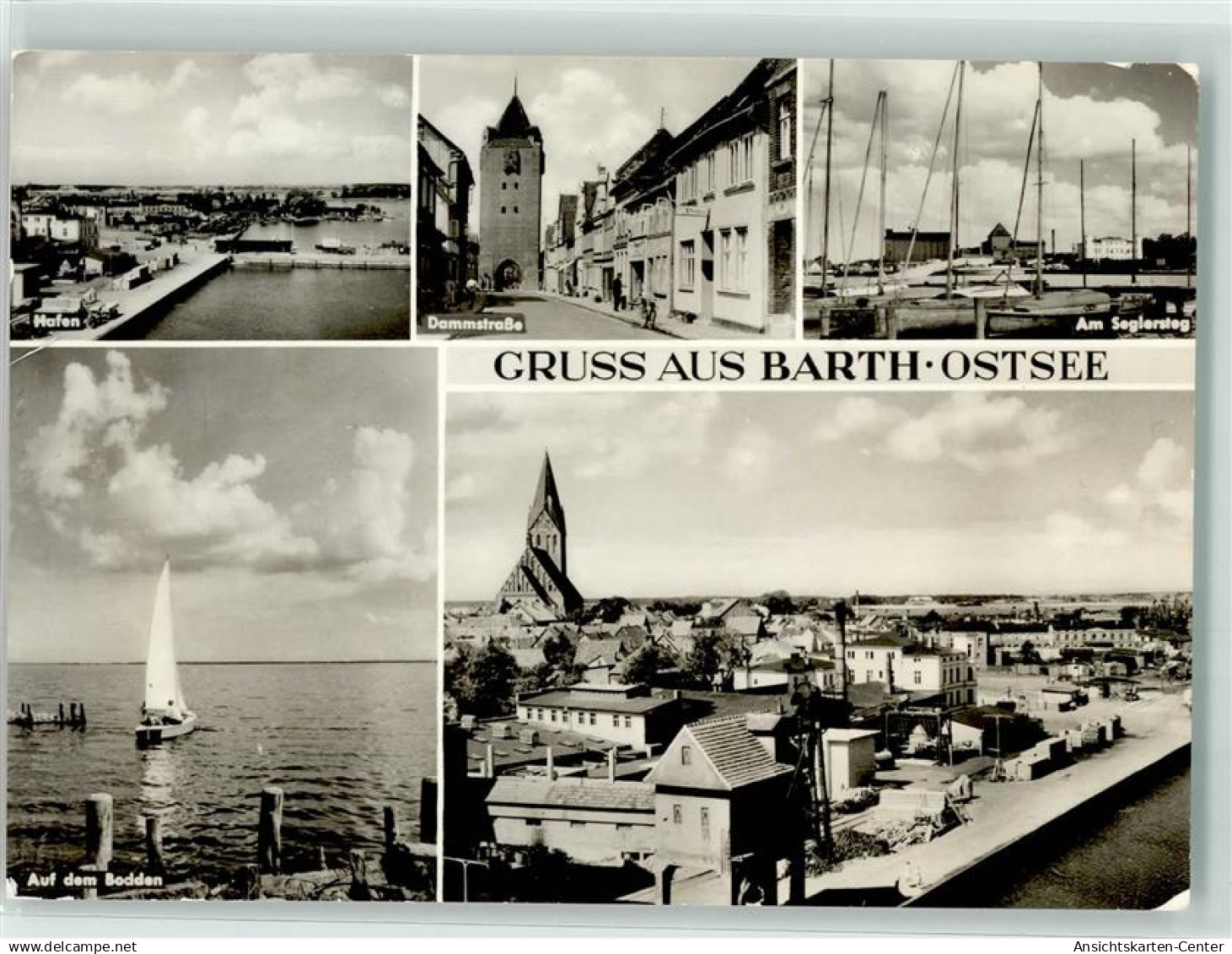 39396315 - Barth