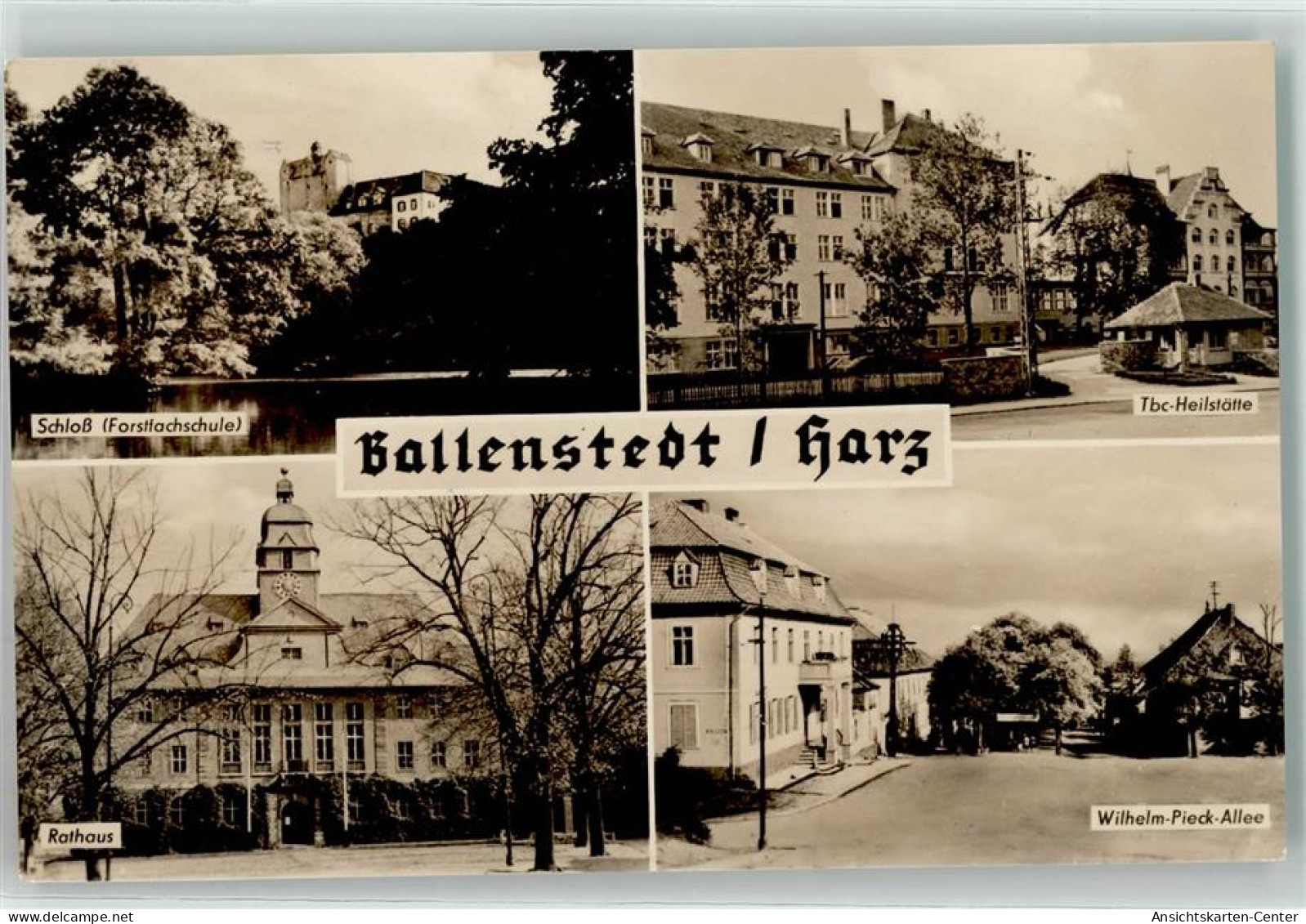 39396567 - Ballenstedt