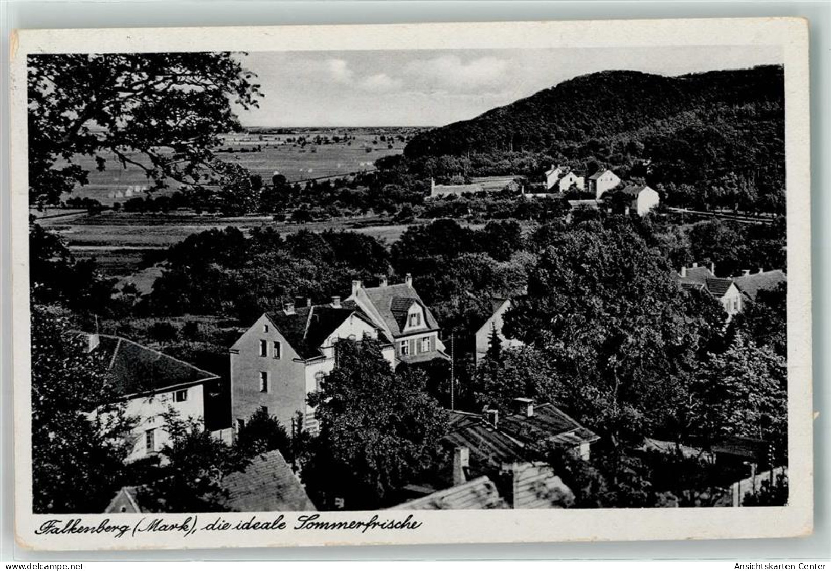 39401766 - Falkenberg , Mark