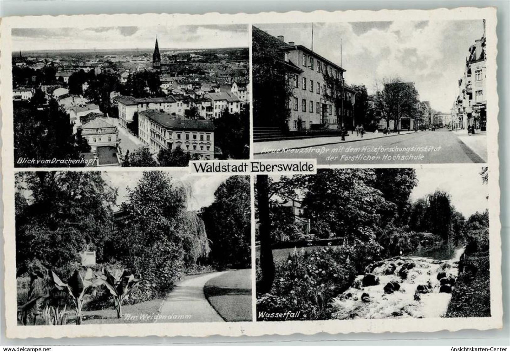 39446879 - Eberswalde