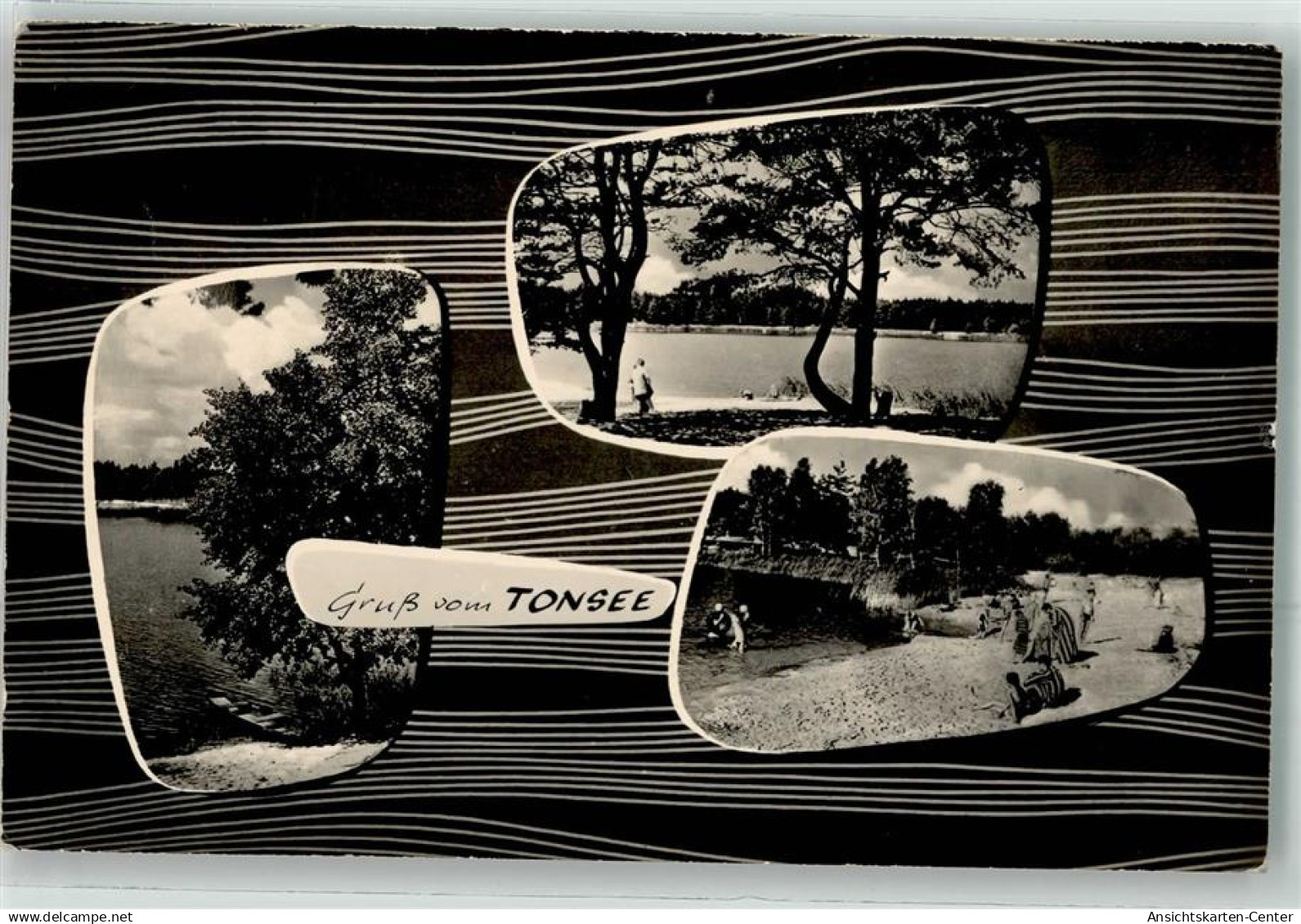 39449755 - Kleinkoeris