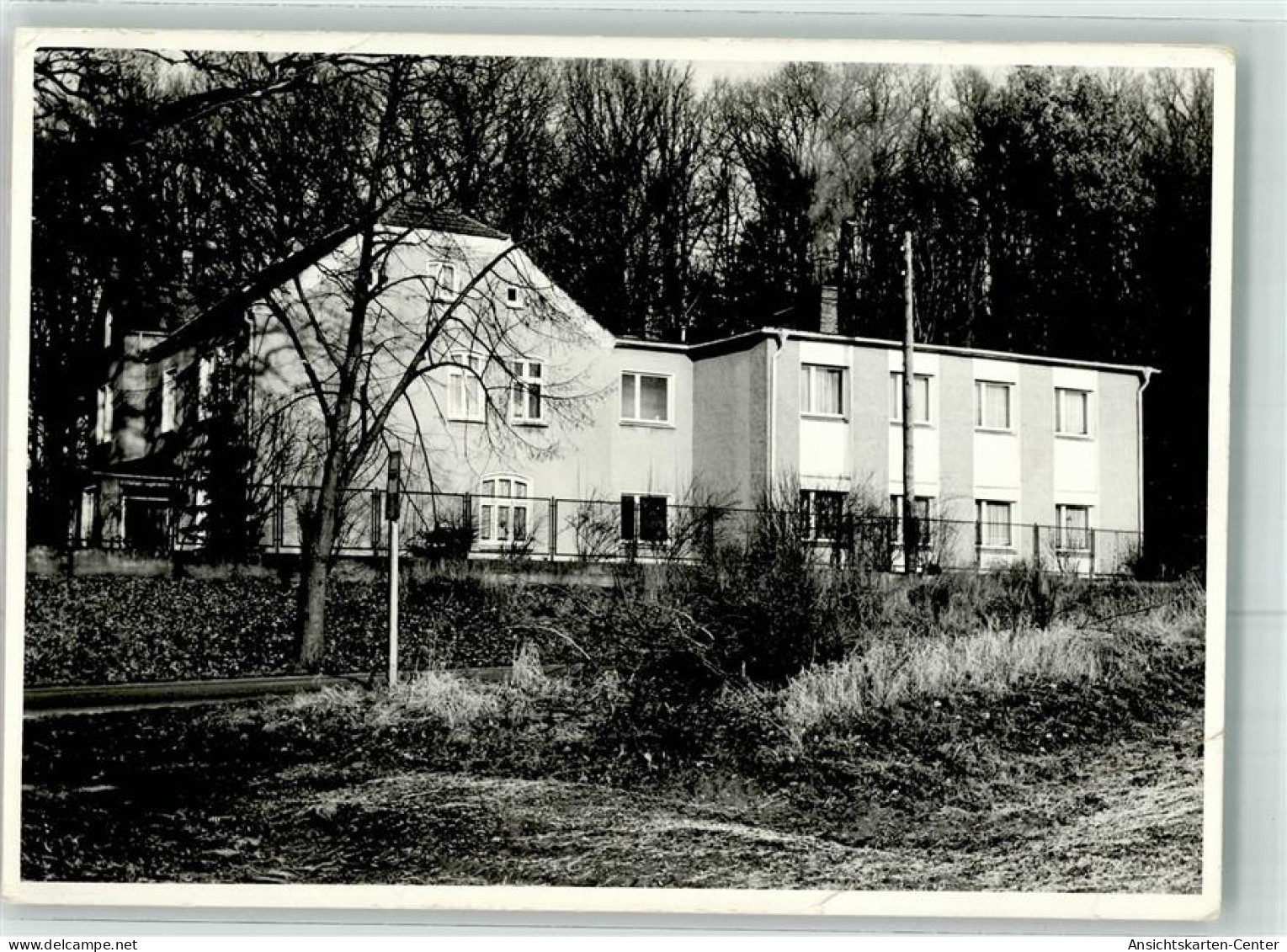 39451239 - Sternberg , Meckl