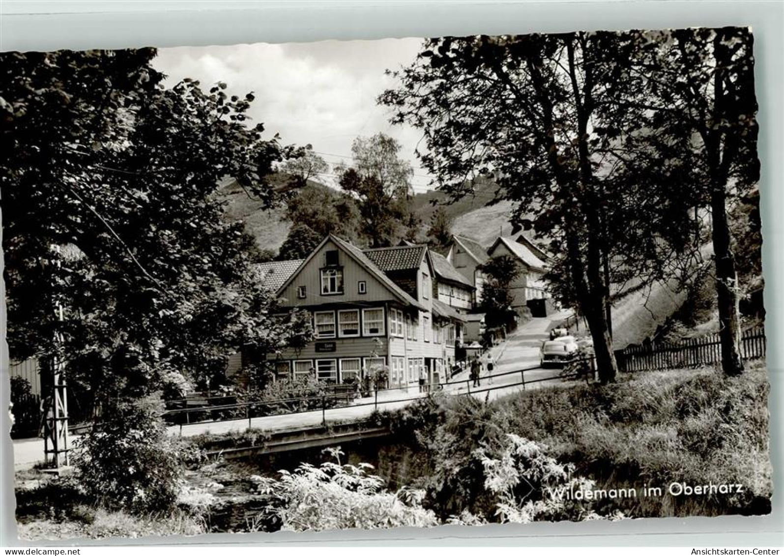 39454760 - Wildemann