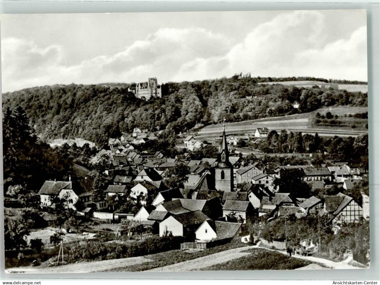 39454875 - Kranichfeld