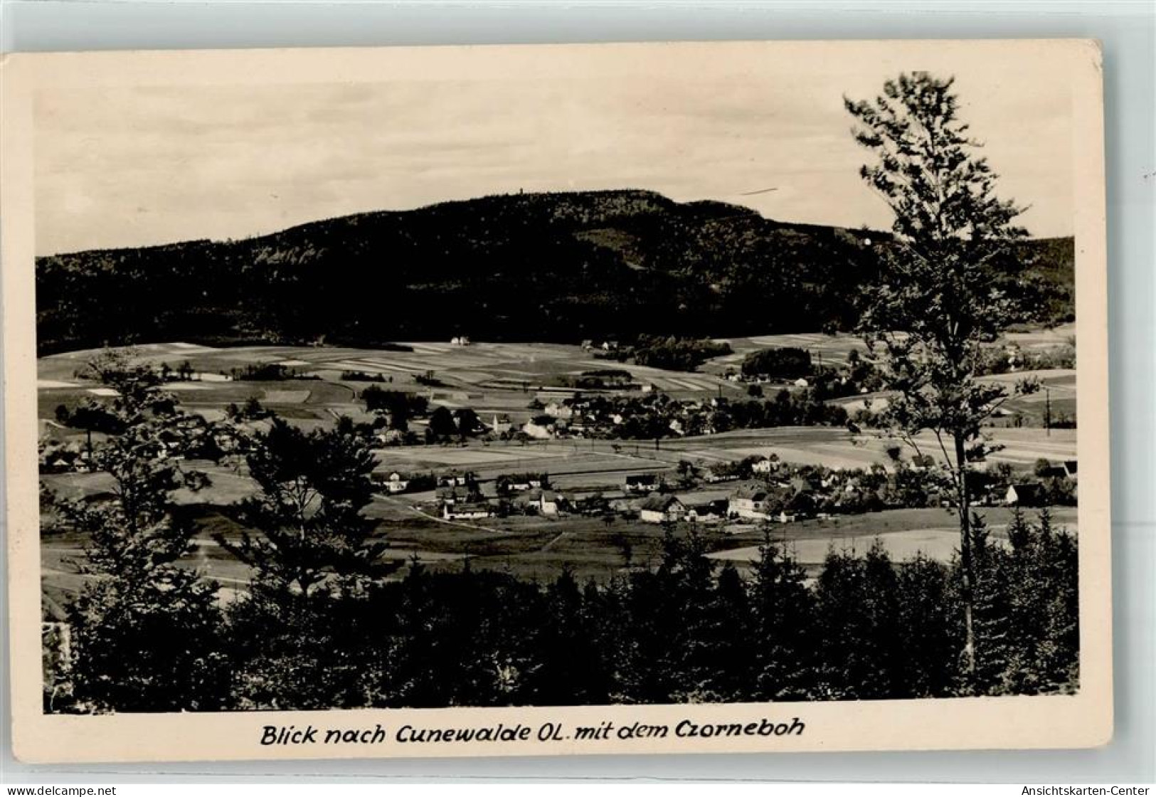 39458926 - Cunewalde