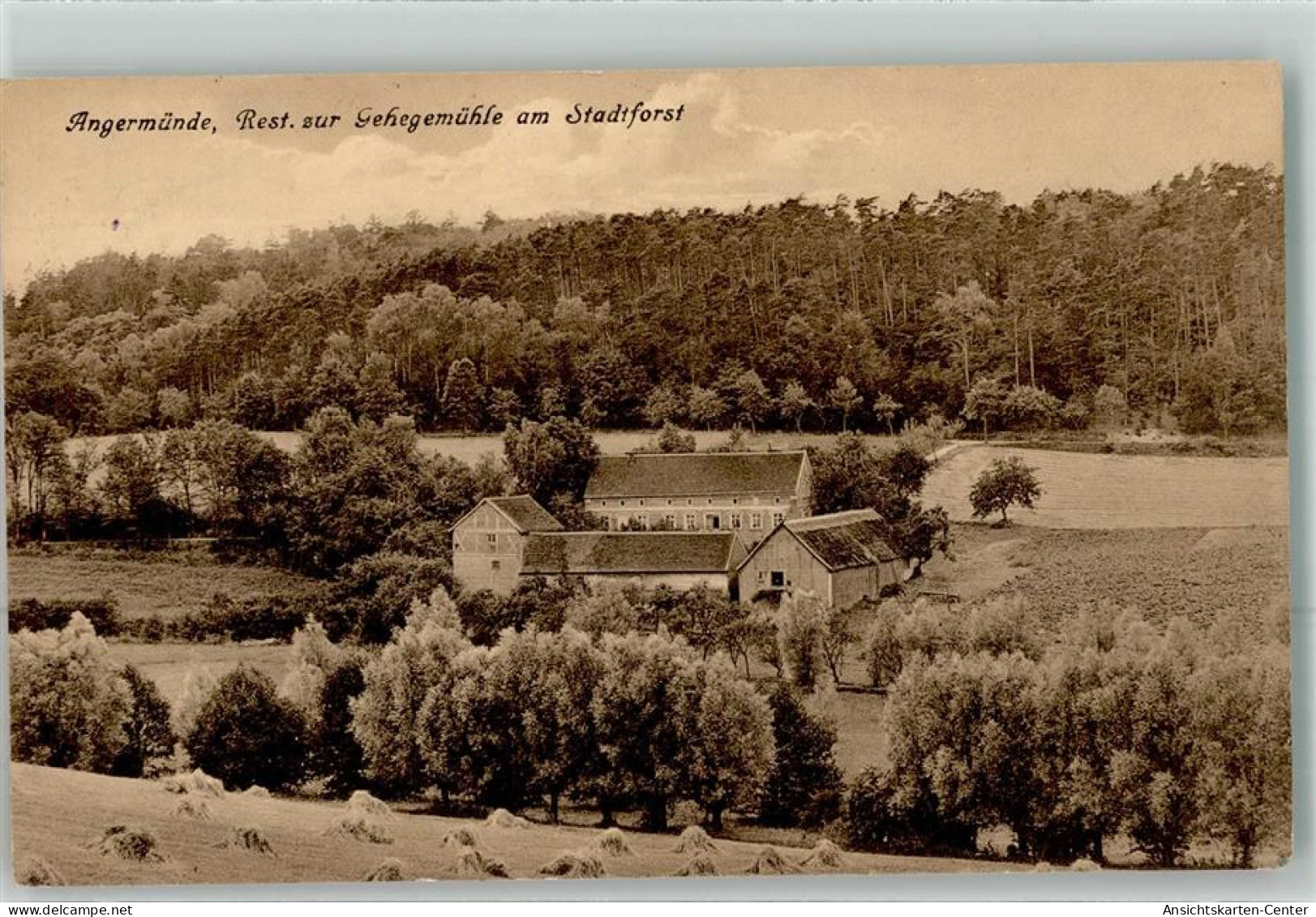 39459946 - Angermuende