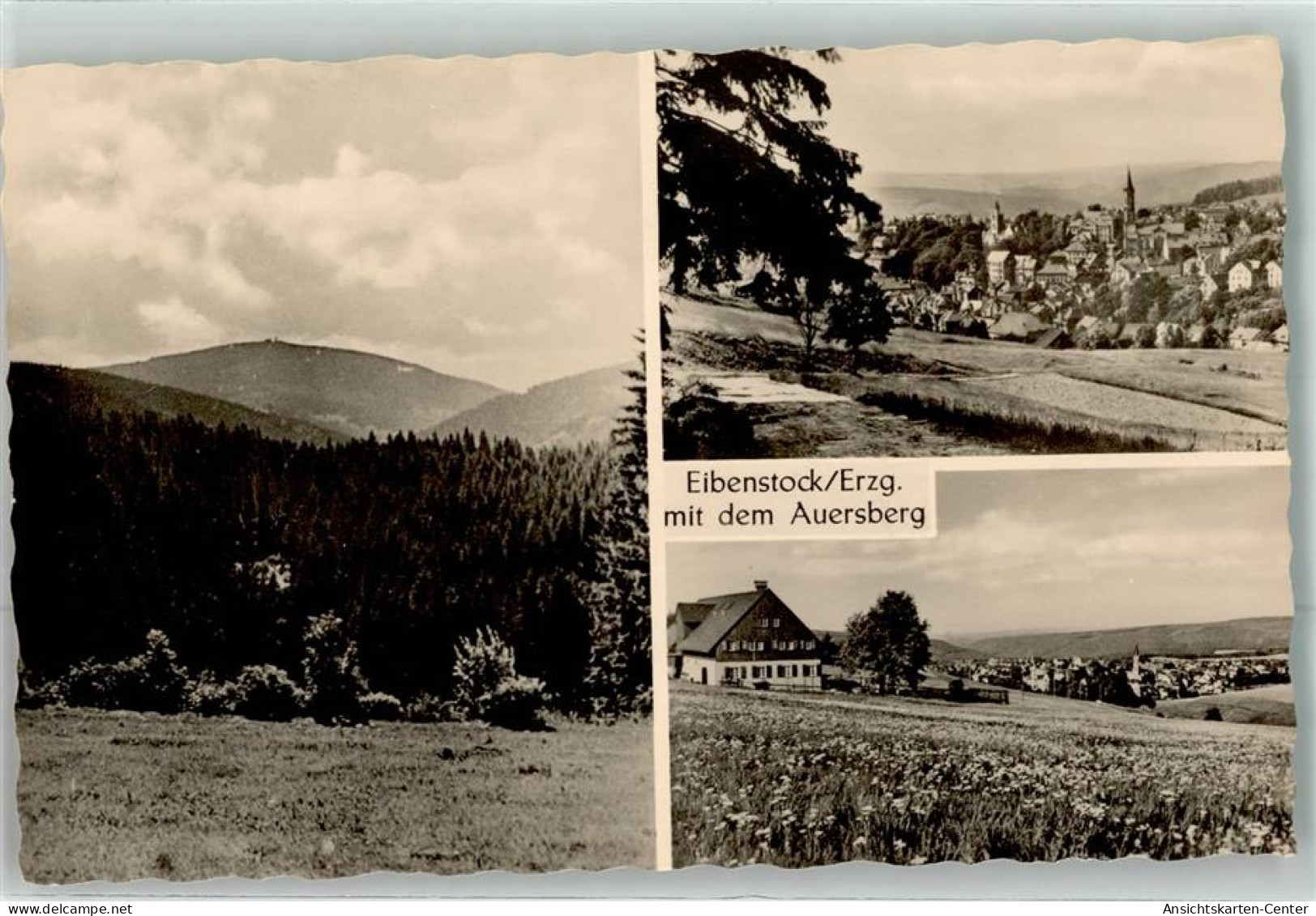 39459980 - Eibenstock