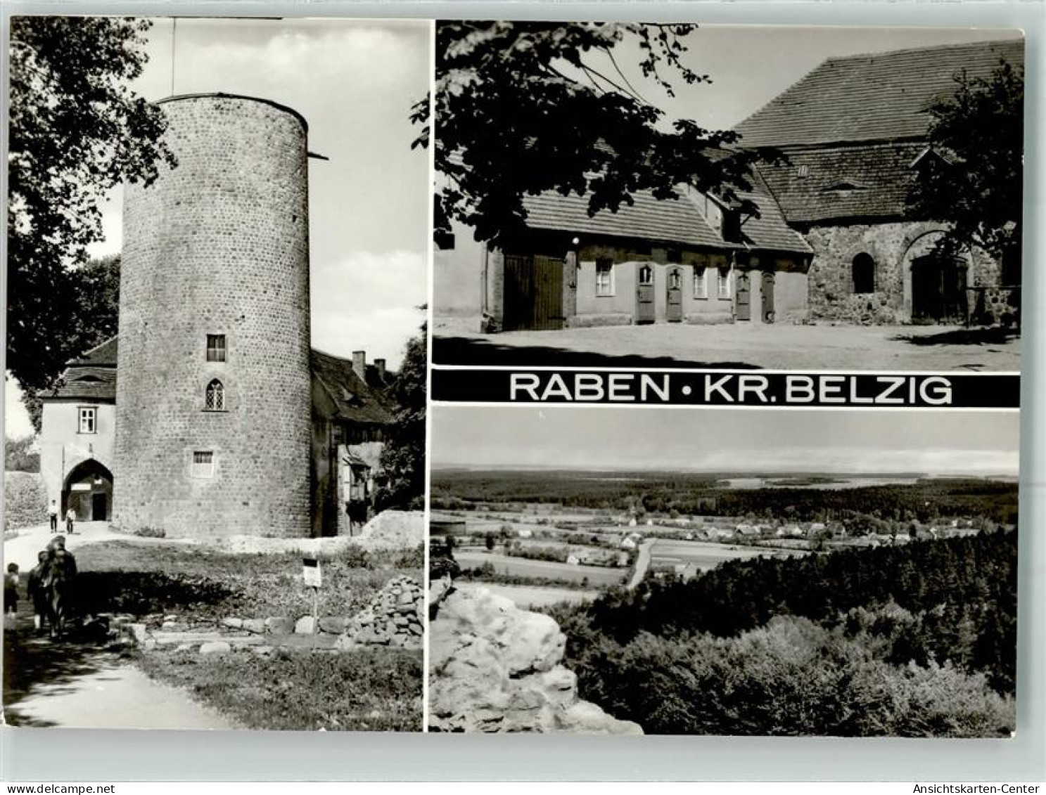 39460970 - Raben b Niemegk