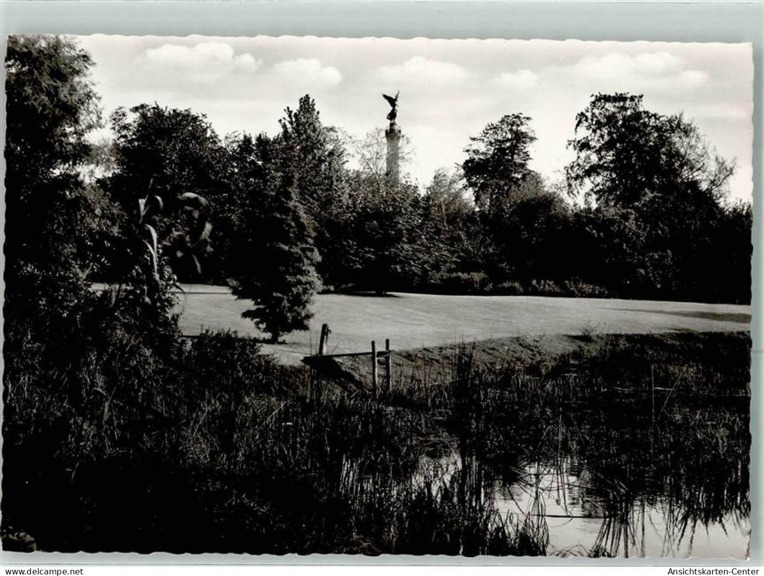 39464477 - Tiergarten