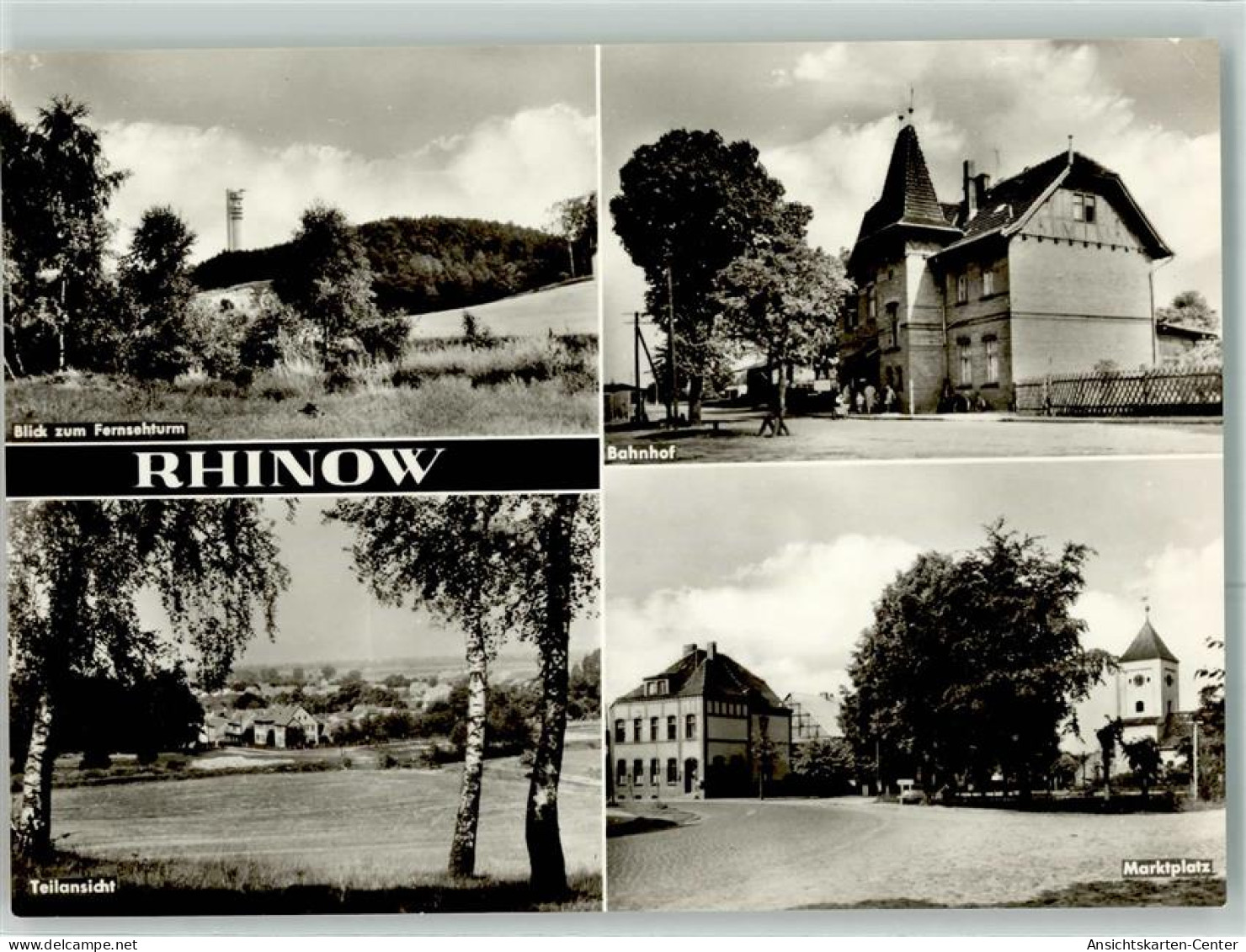 39464556 - Rhinow