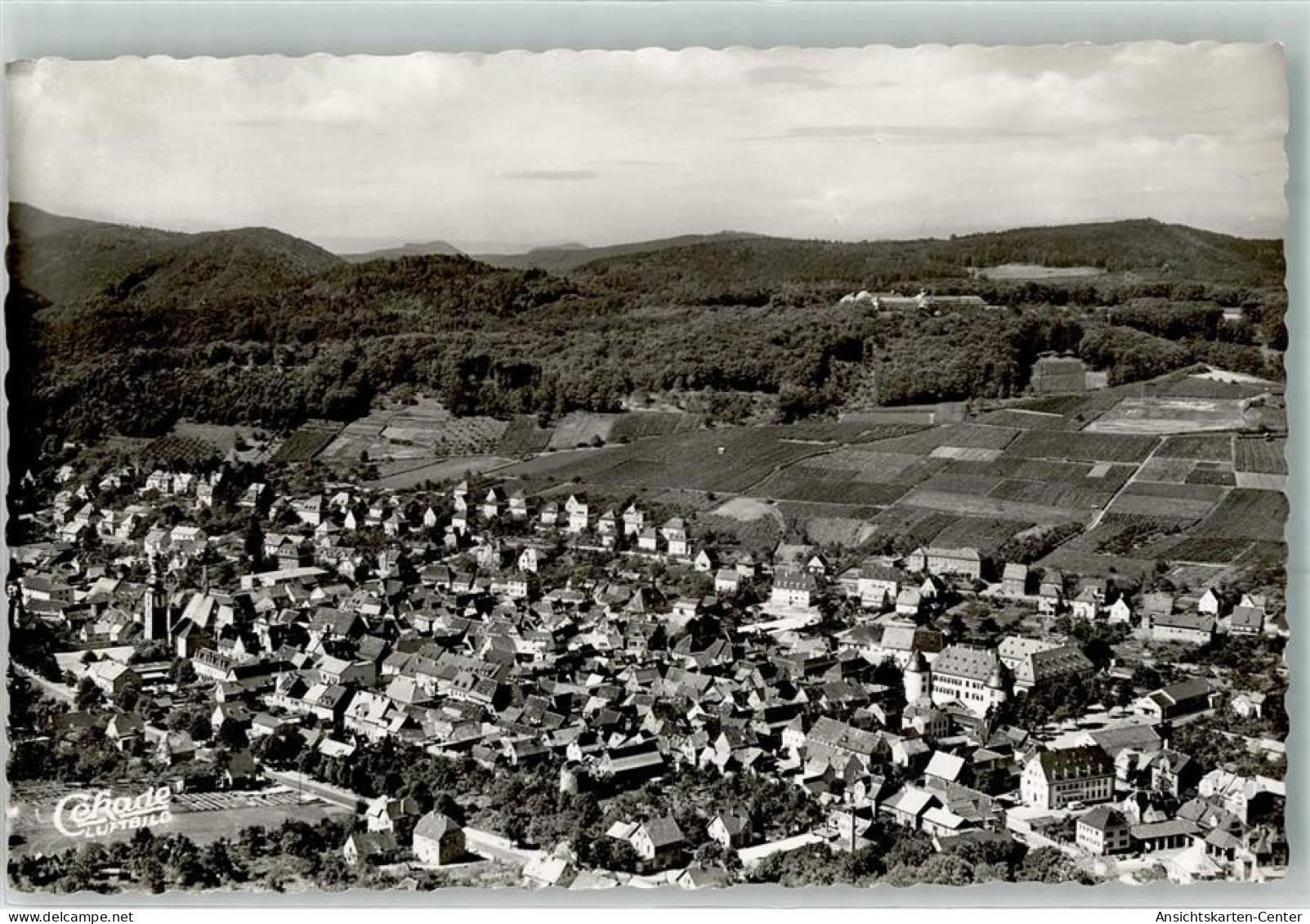39466648 - Bad Bergzabern