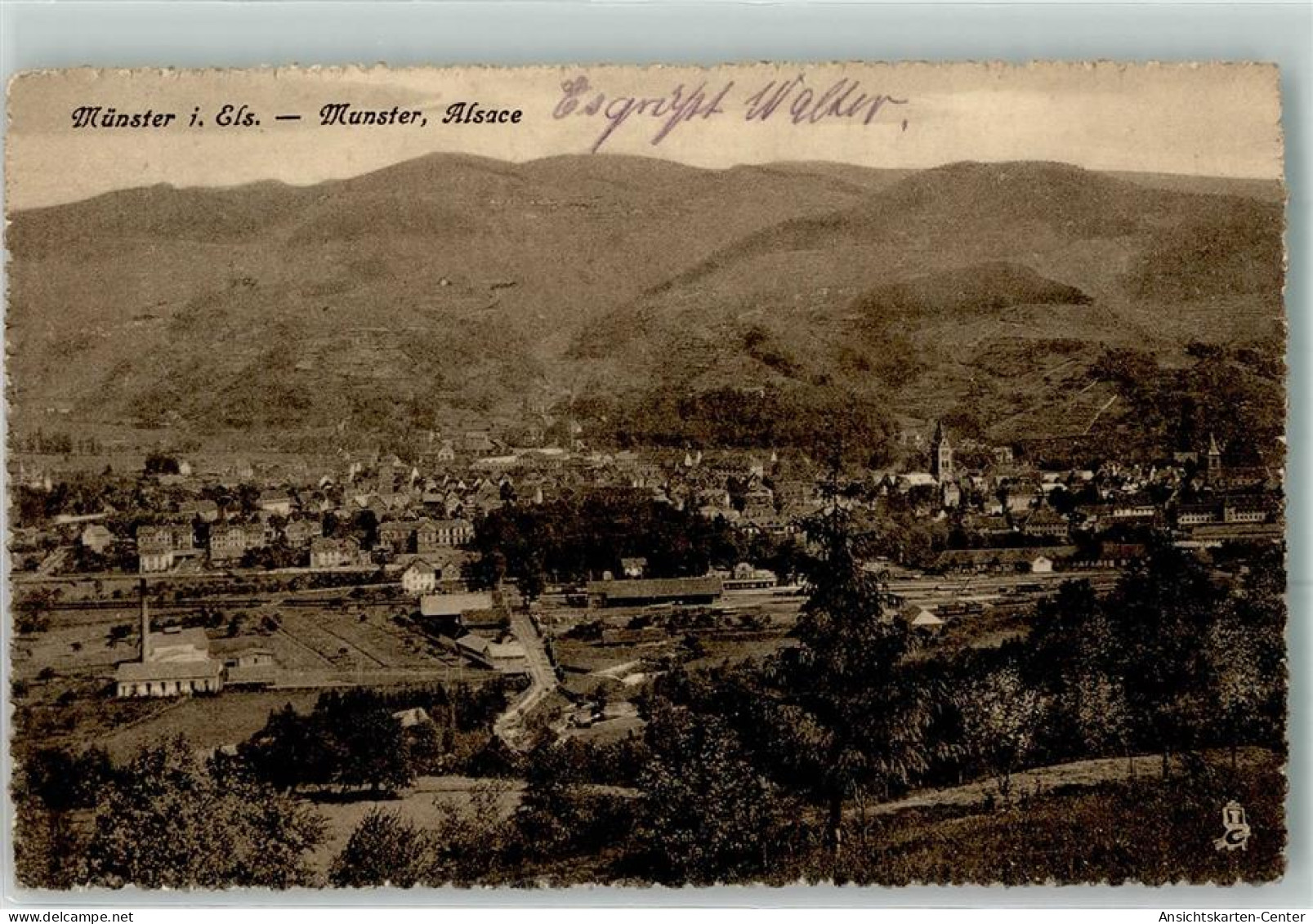 39475060 - Munster Muenster