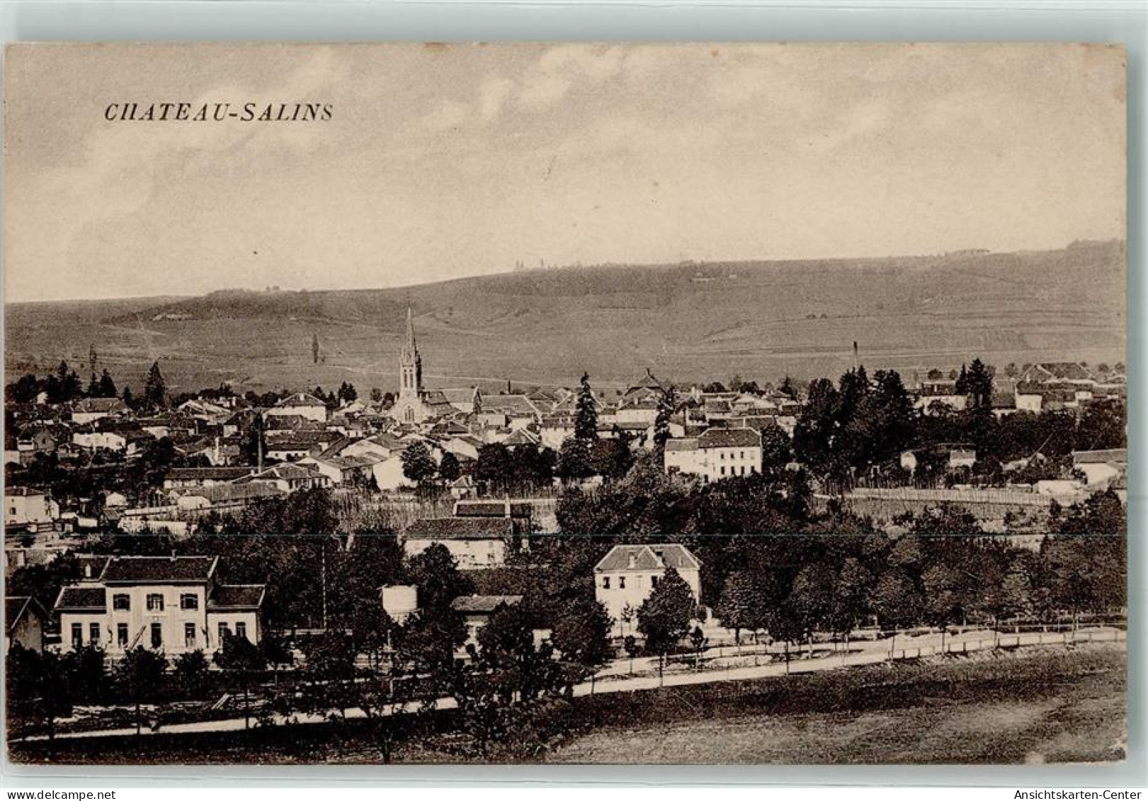 39480146 - Chateau-Salins