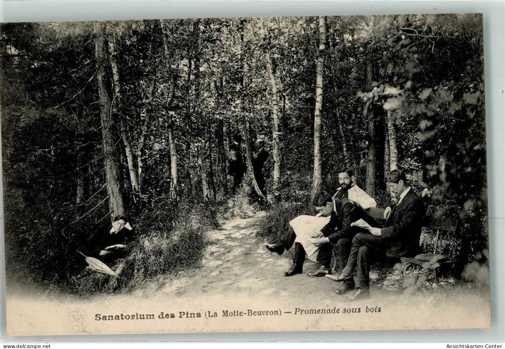 39481117 - Lamotte-Beuvron